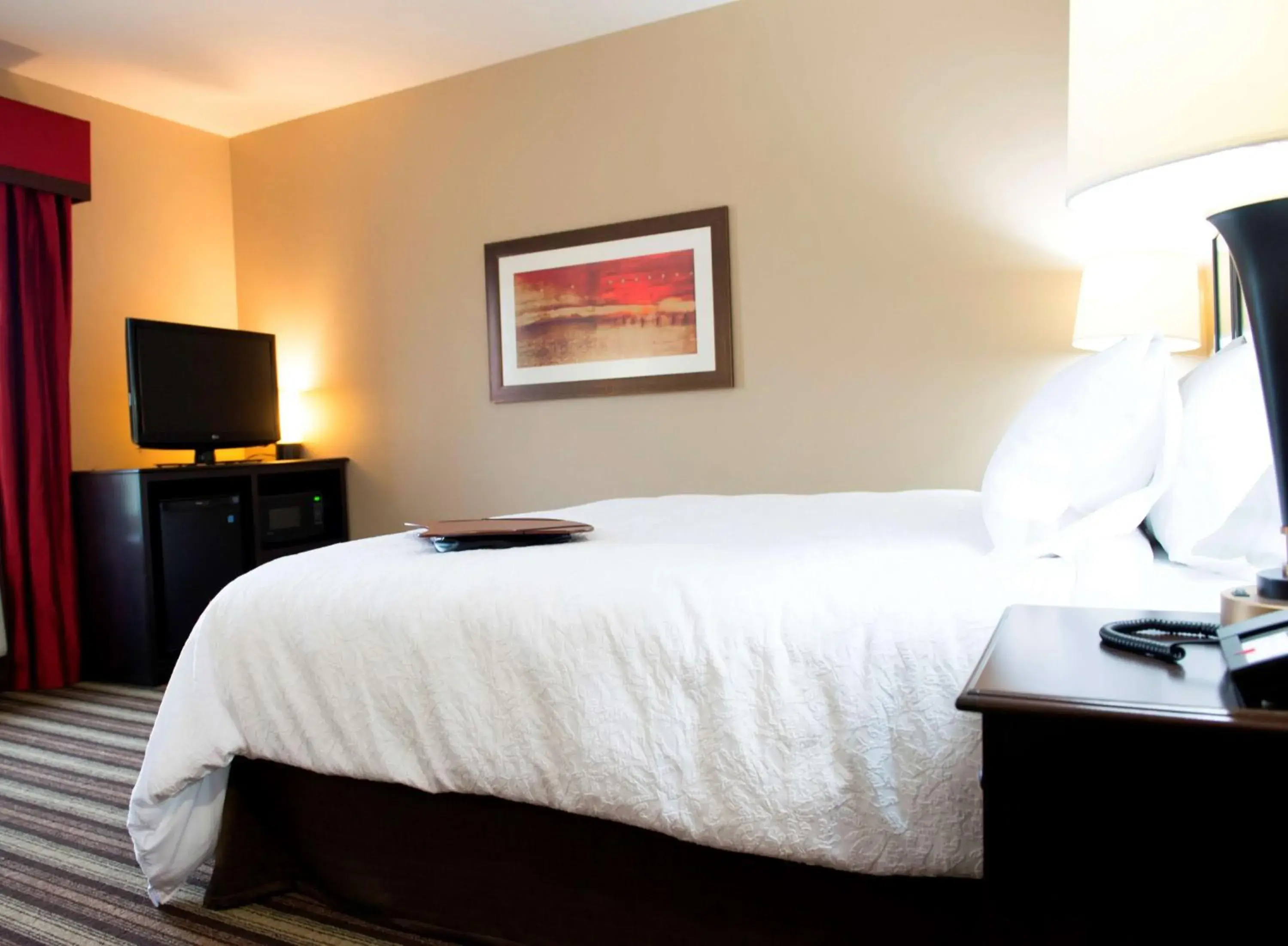 King Room with Accessible Tub - Mobility and Hearing Access/Non-Smoking in Hampton Inn and Suites Hope King Room with Accessible Tub - Mobility and Hearing Access/Non-Smoking in Hampton Inn and Suites Hope