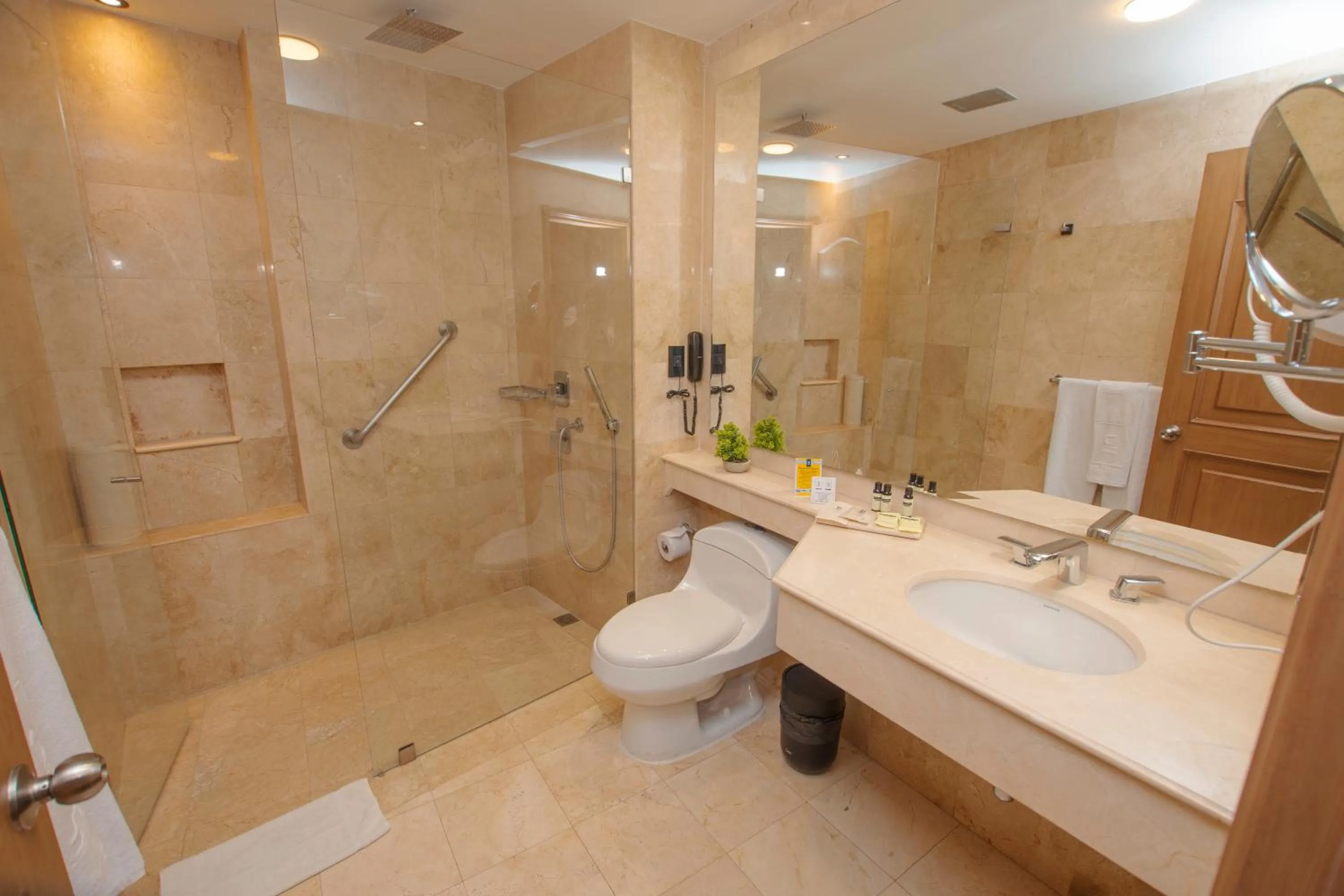 Shower in Hotel Dann Carlton Cali