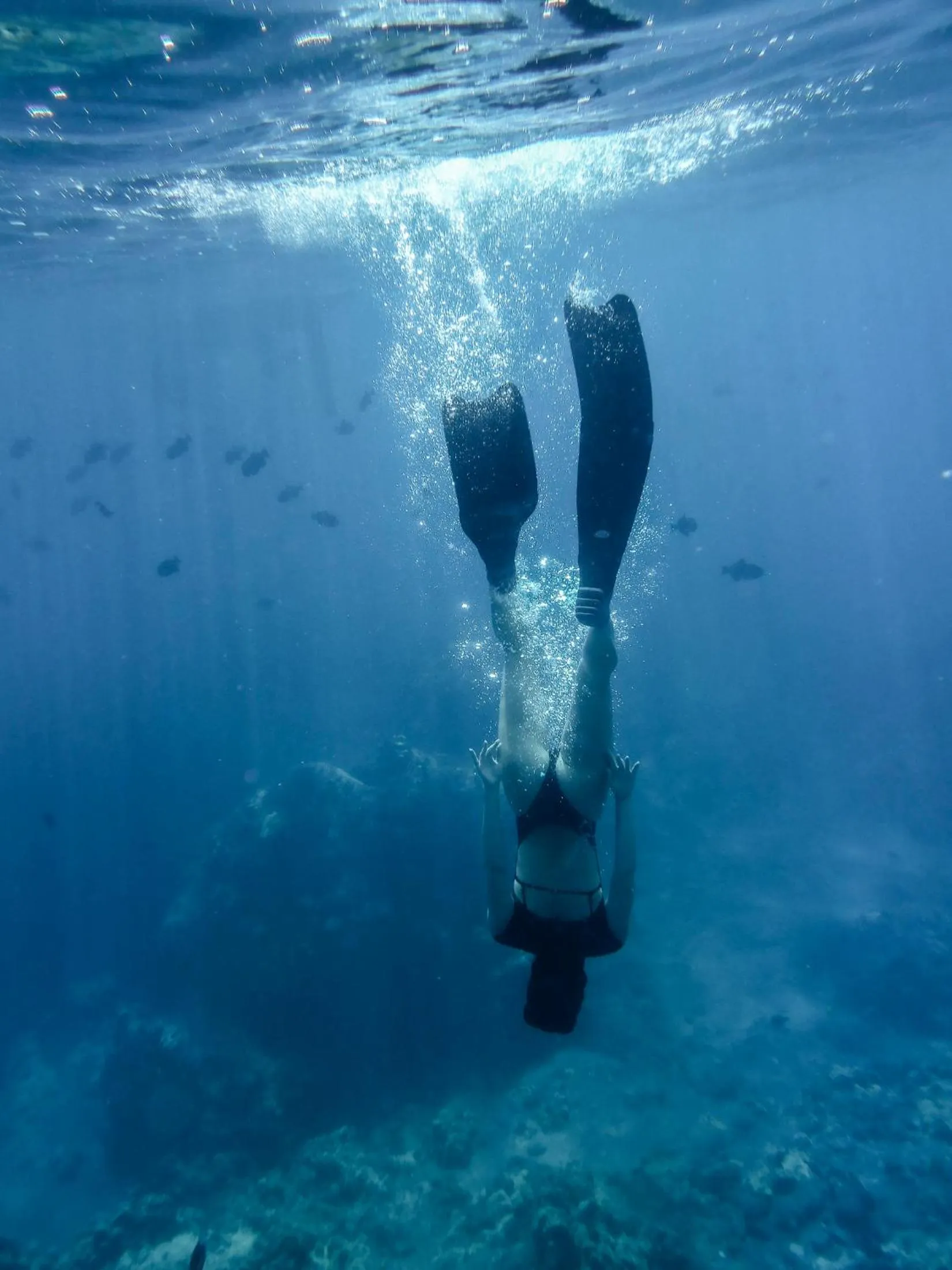 Four Seasons Resort Lana'i