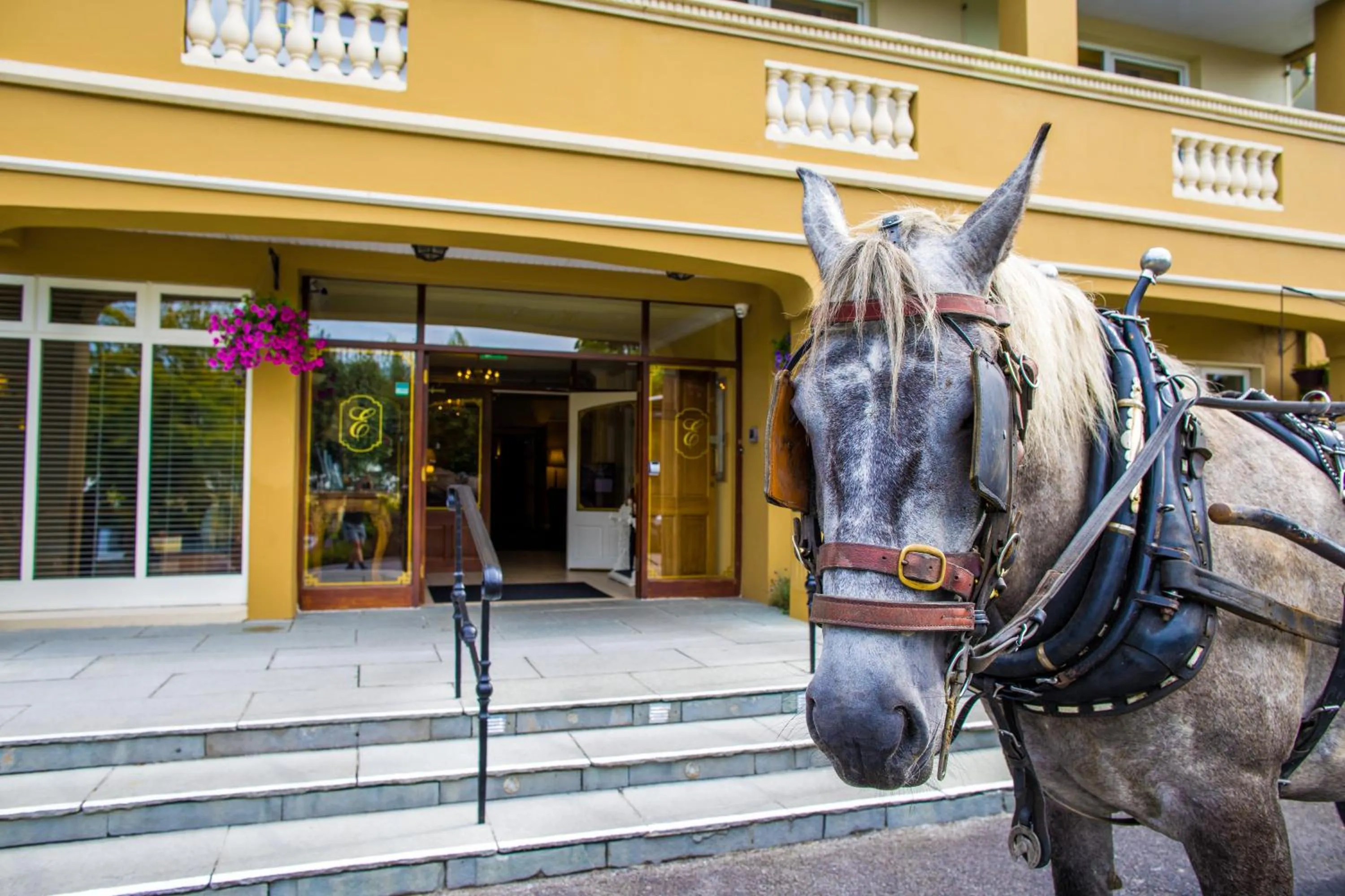 Property building in Earls Court House