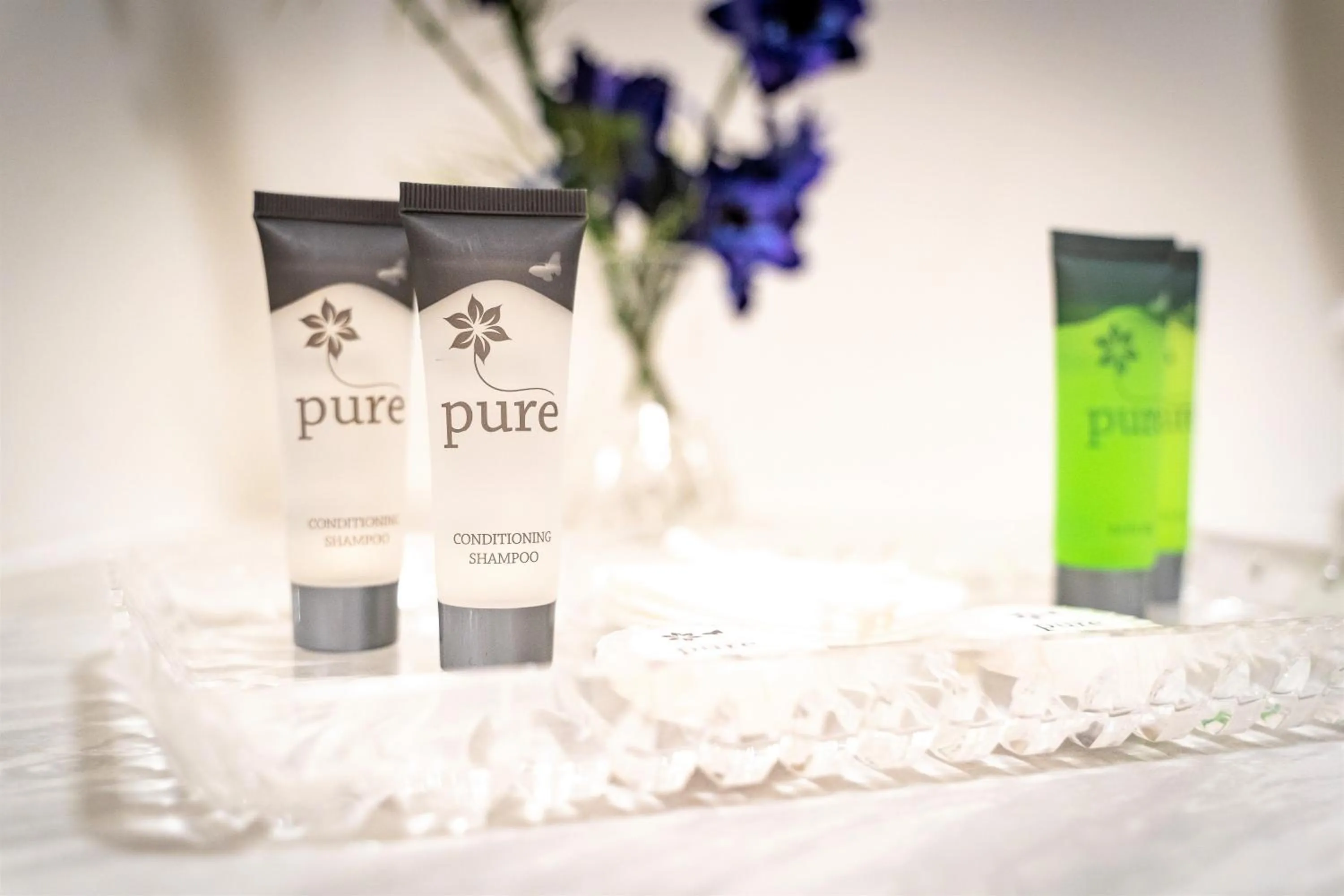 Bathroom in Earls Court House