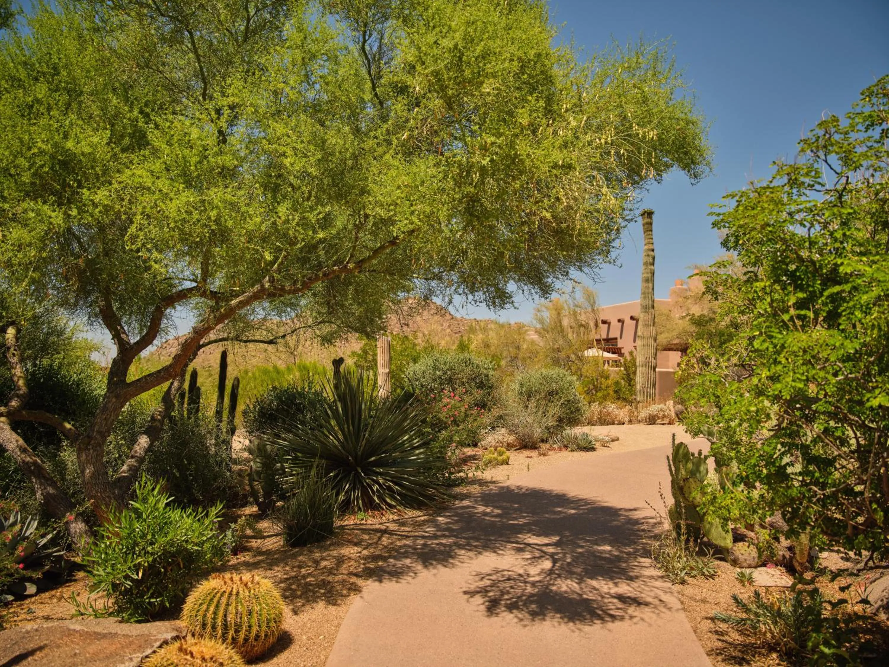 Four Seasons Resort Scottsdale at Troon North