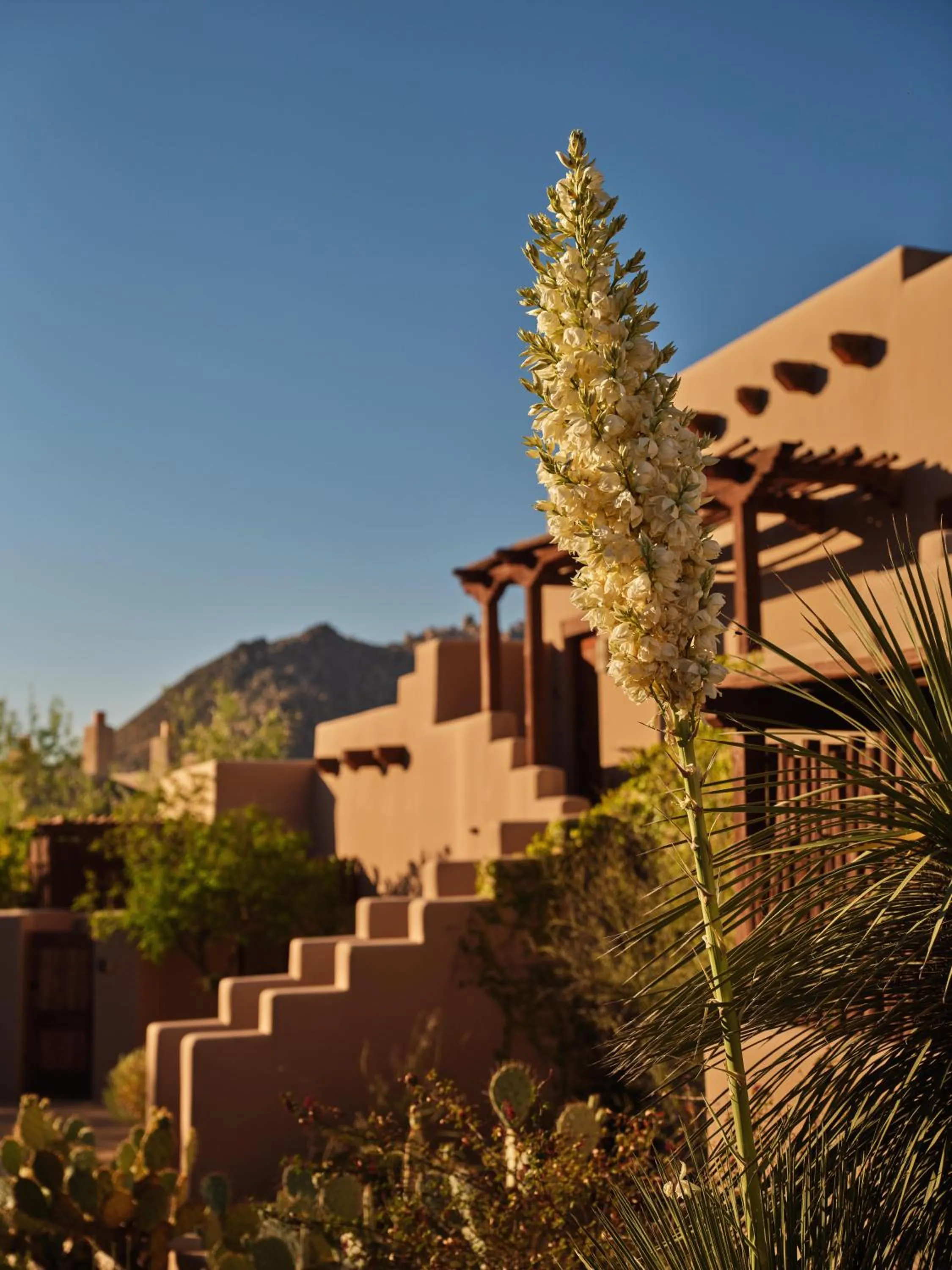 Four Seasons Resort Scottsdale at Troon North
