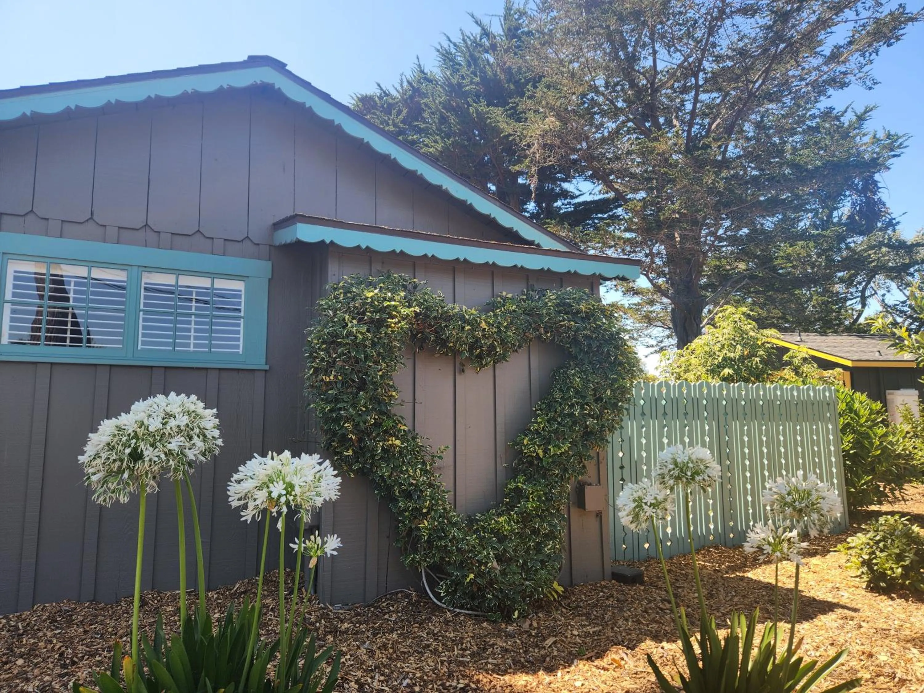 Garden in Carmel River Inn & Cottages