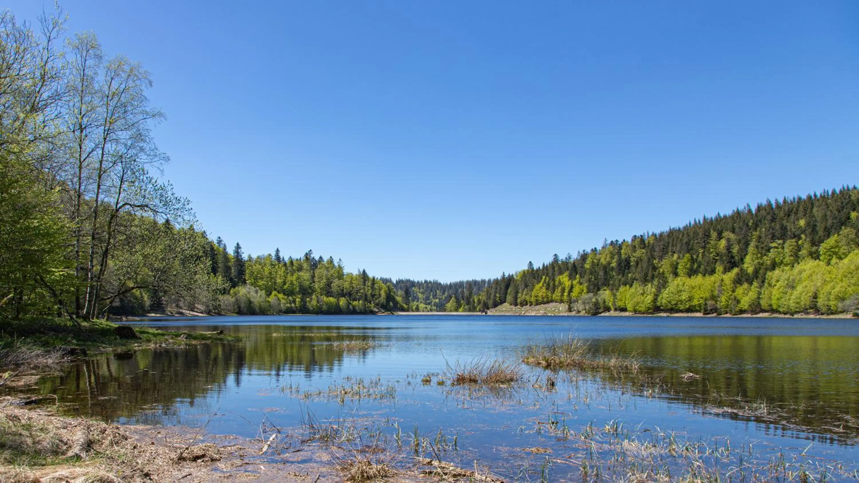 Hiking in Chambres d'hôtes Domaine des Iris