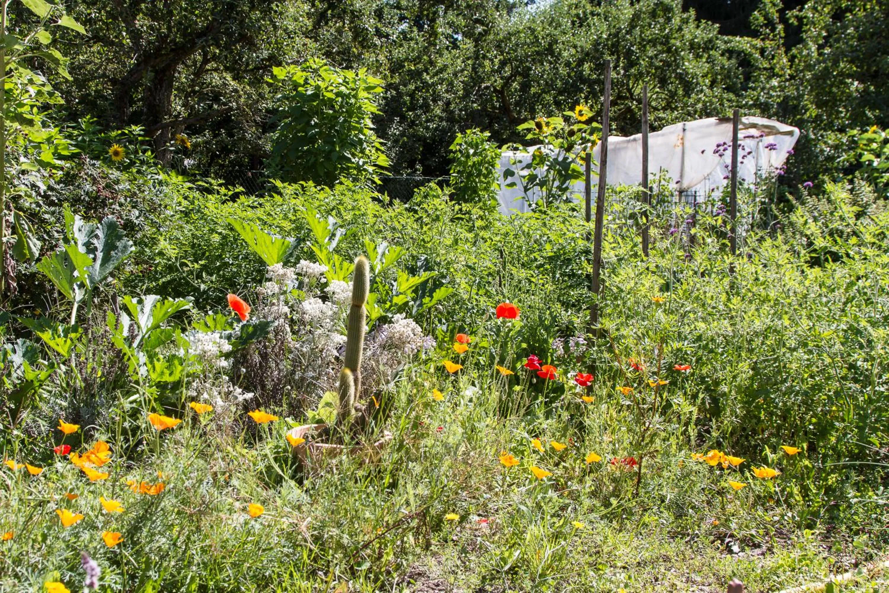Garden in Chambres d'hôtes Domaine des Iris