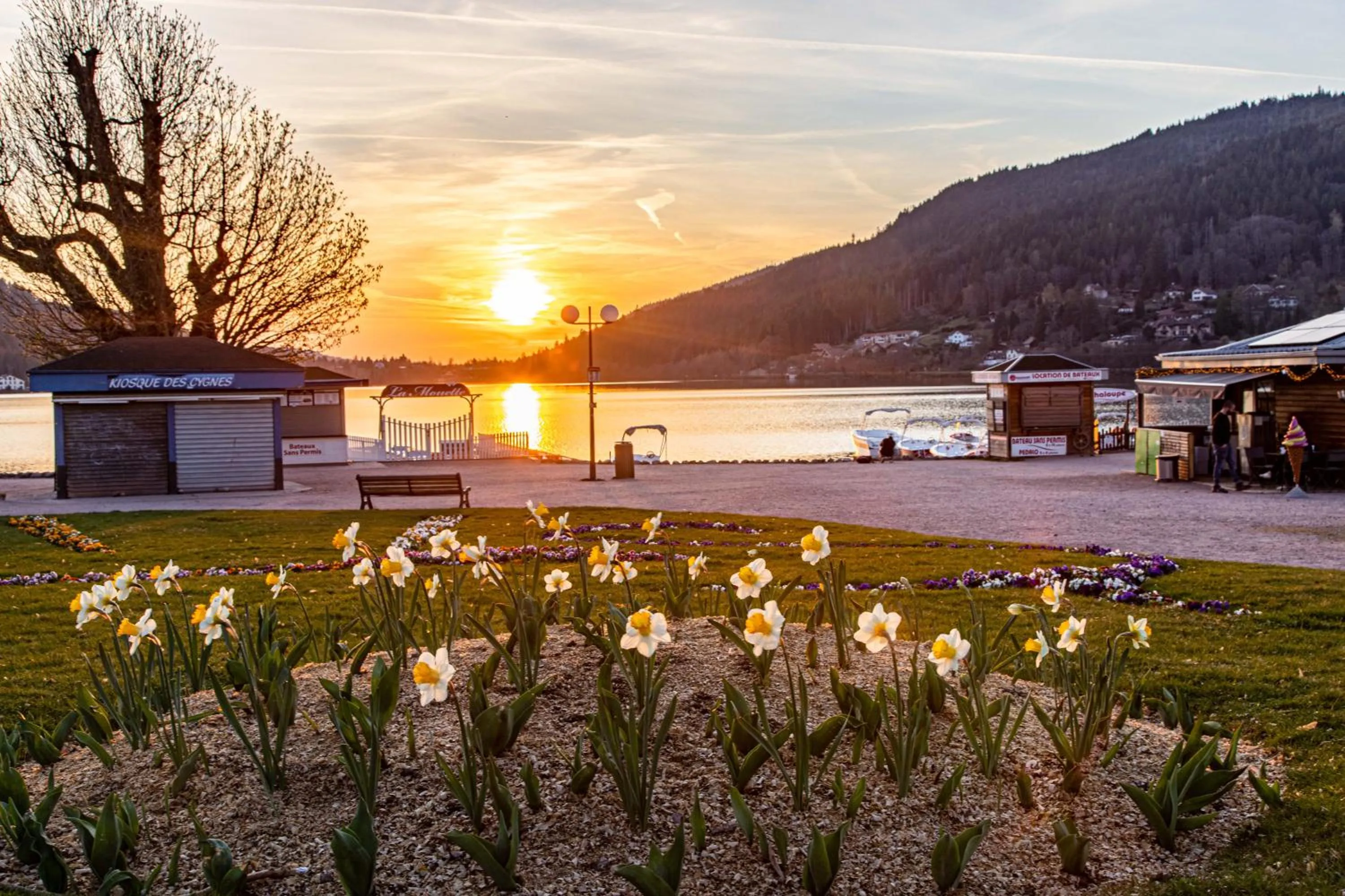 Sunset in Chambres d'hôtes Domaine des Iris