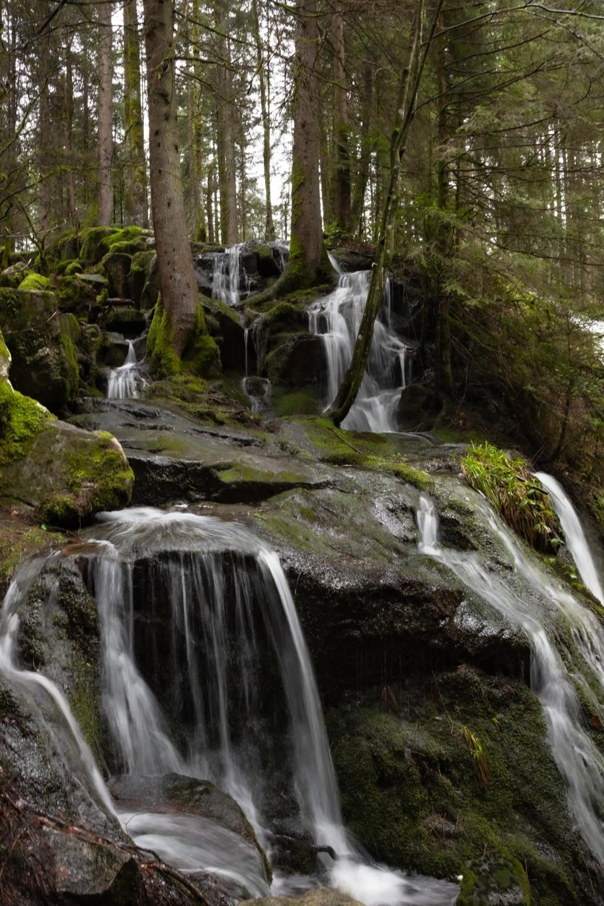 Hiking in Chambres d'hôtes Domaine des Iris