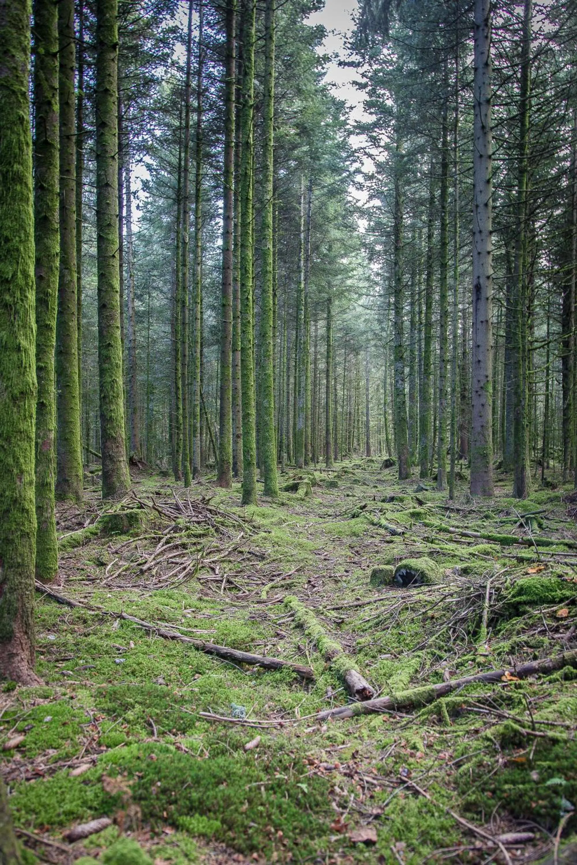 Hiking in Chambres d'hôtes Domaine des Iris