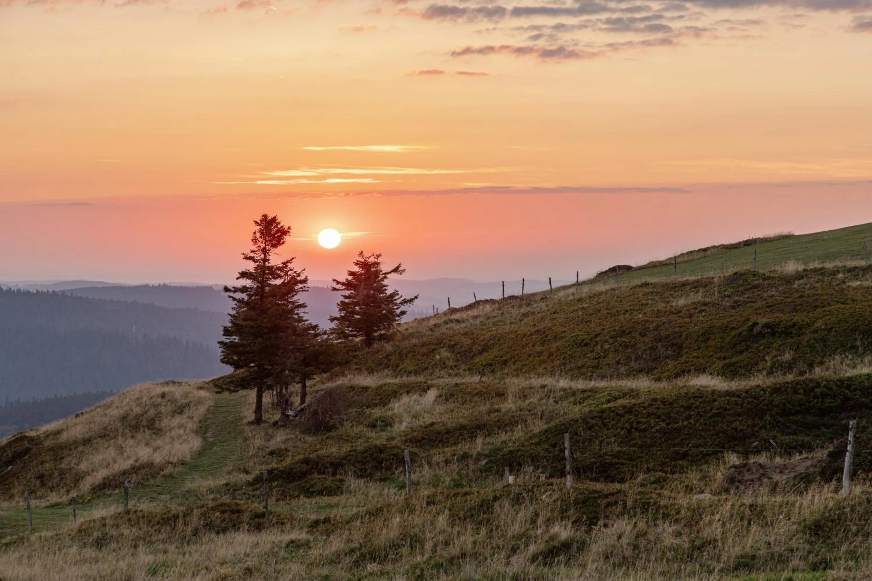 Sunset in Chambres d'hôtes Domaine des Iris
