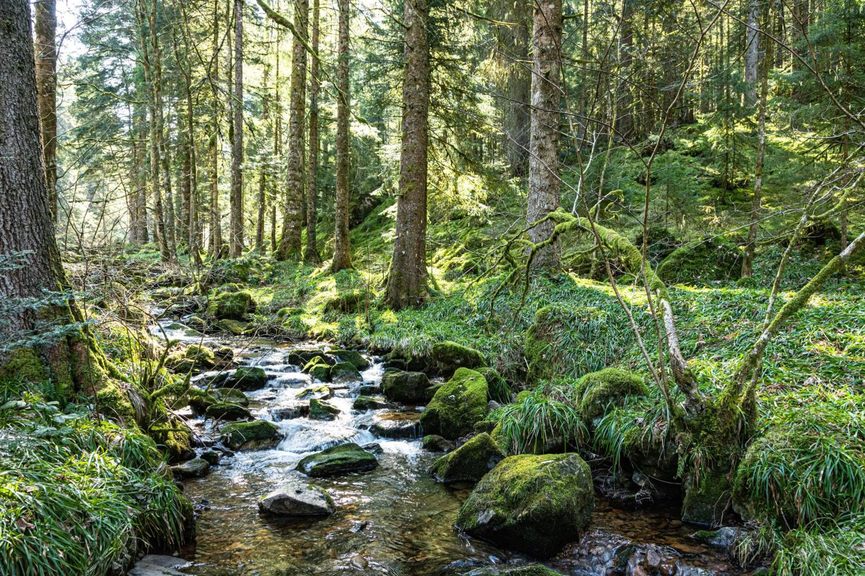 Nearby landmark in Chambres d'hôtes Domaine des Iris