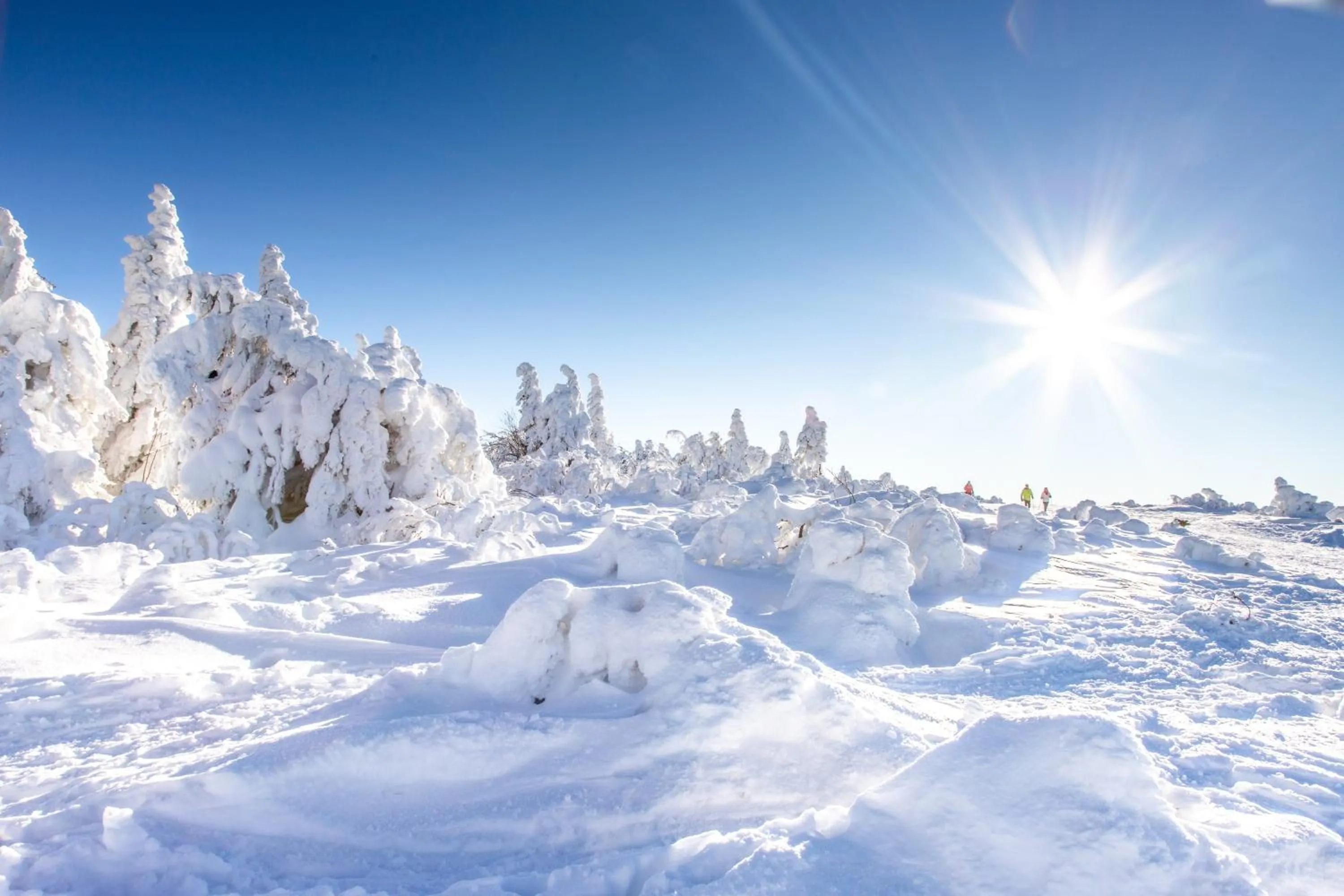 Nearby landmark in Chambres d'hôtes Domaine des Iris