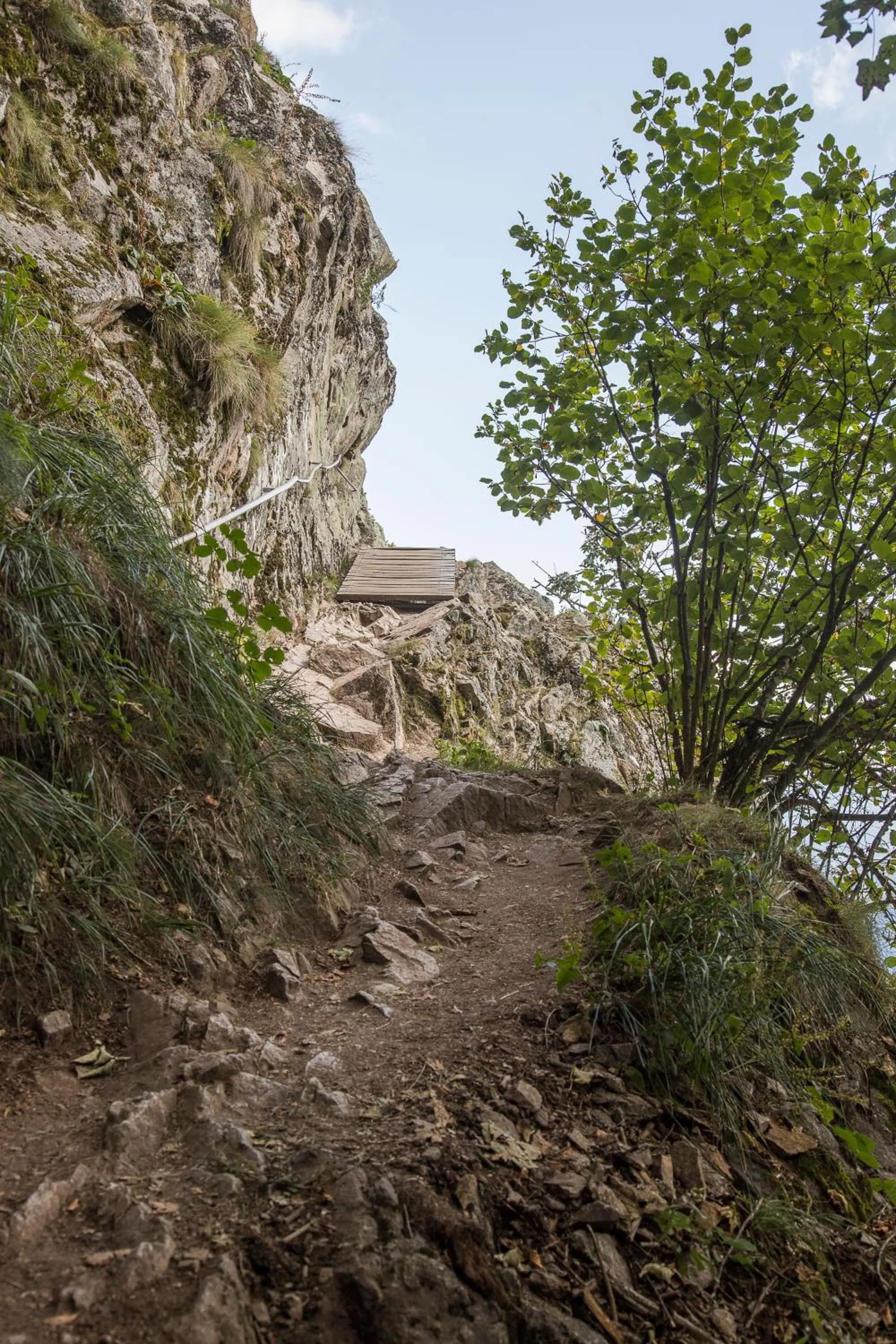 Natural landscape in Chambres d'hôtes Domaine des Iris