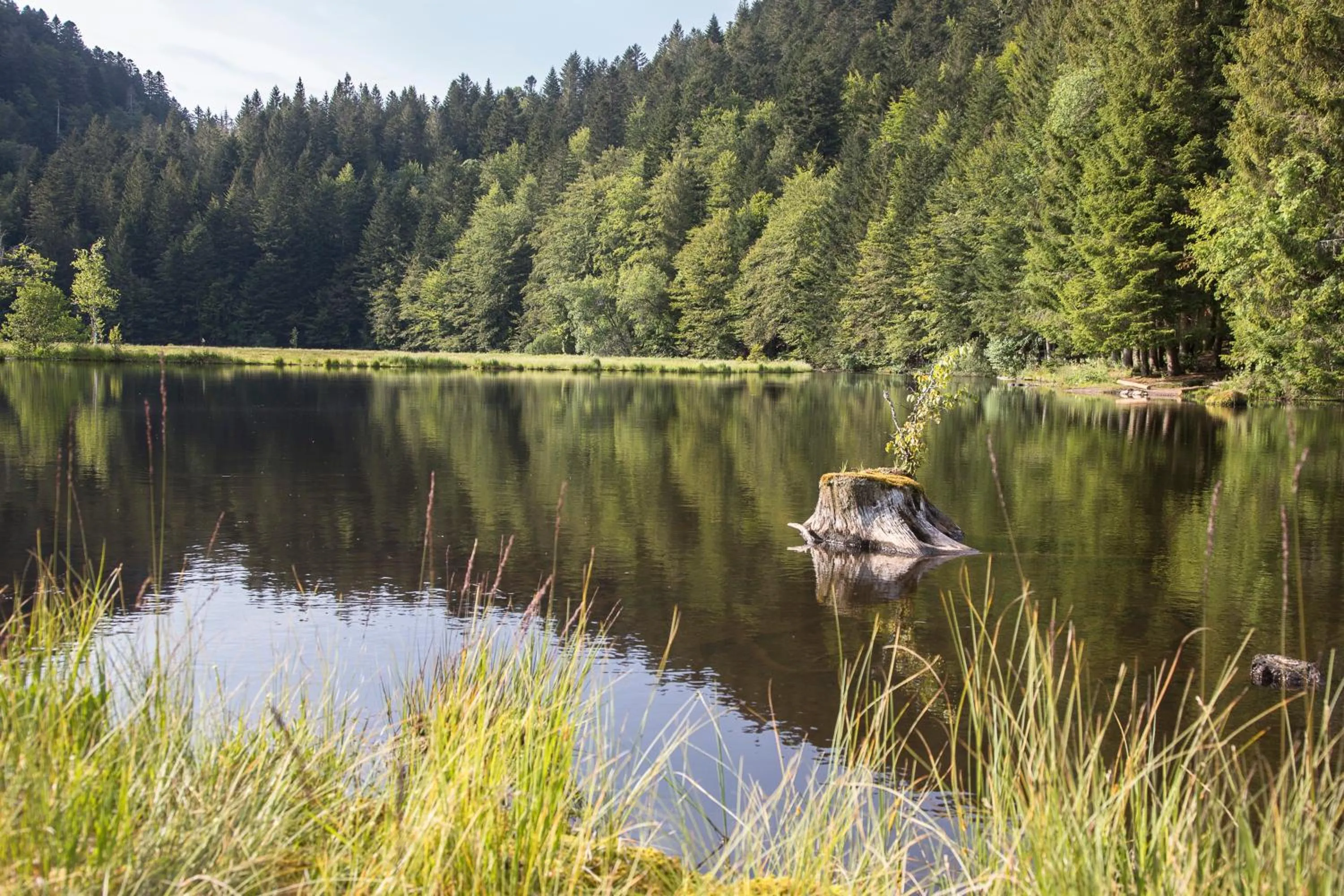 Hiking in Chambres d'hôtes Domaine des Iris