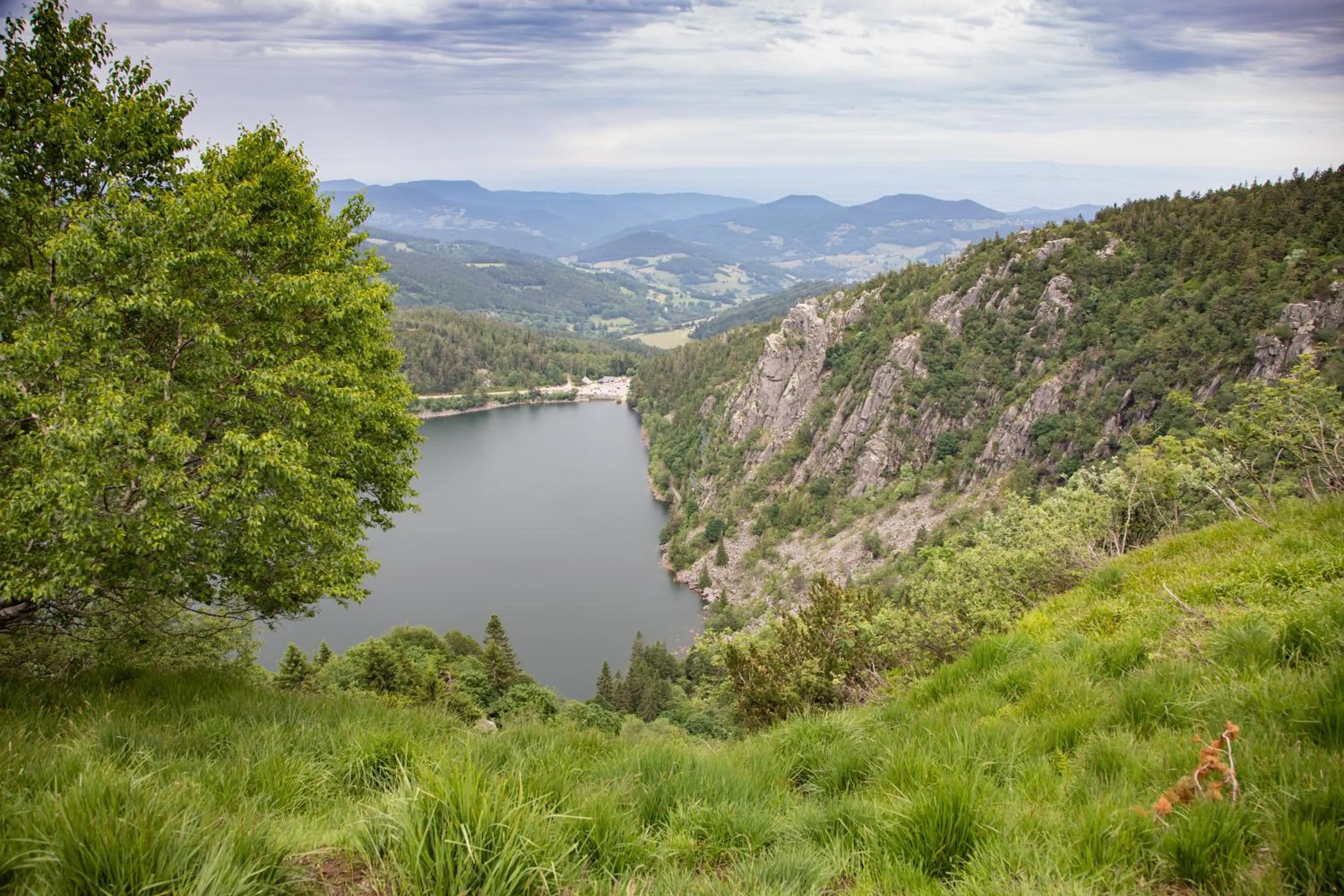Natural landscape in Chambres d'hôtes Domaine des Iris