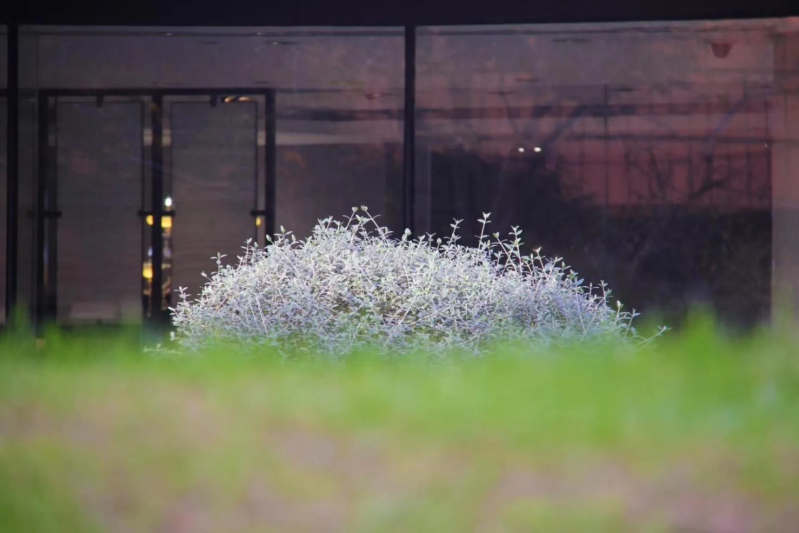 Natural landscape in HUALUXE Shanghai Twelve At Hengshan