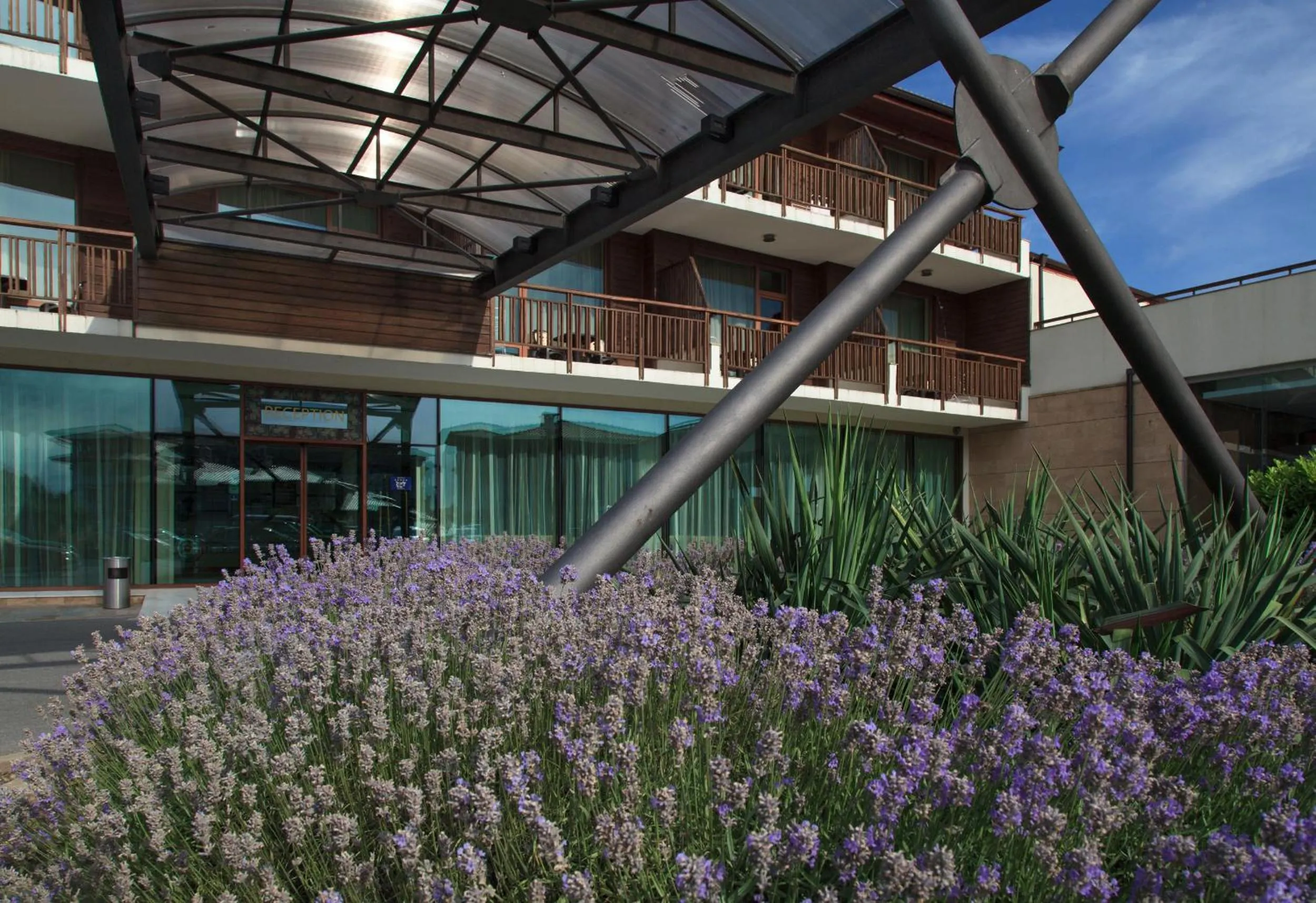 Other in Garden of Eden Complex