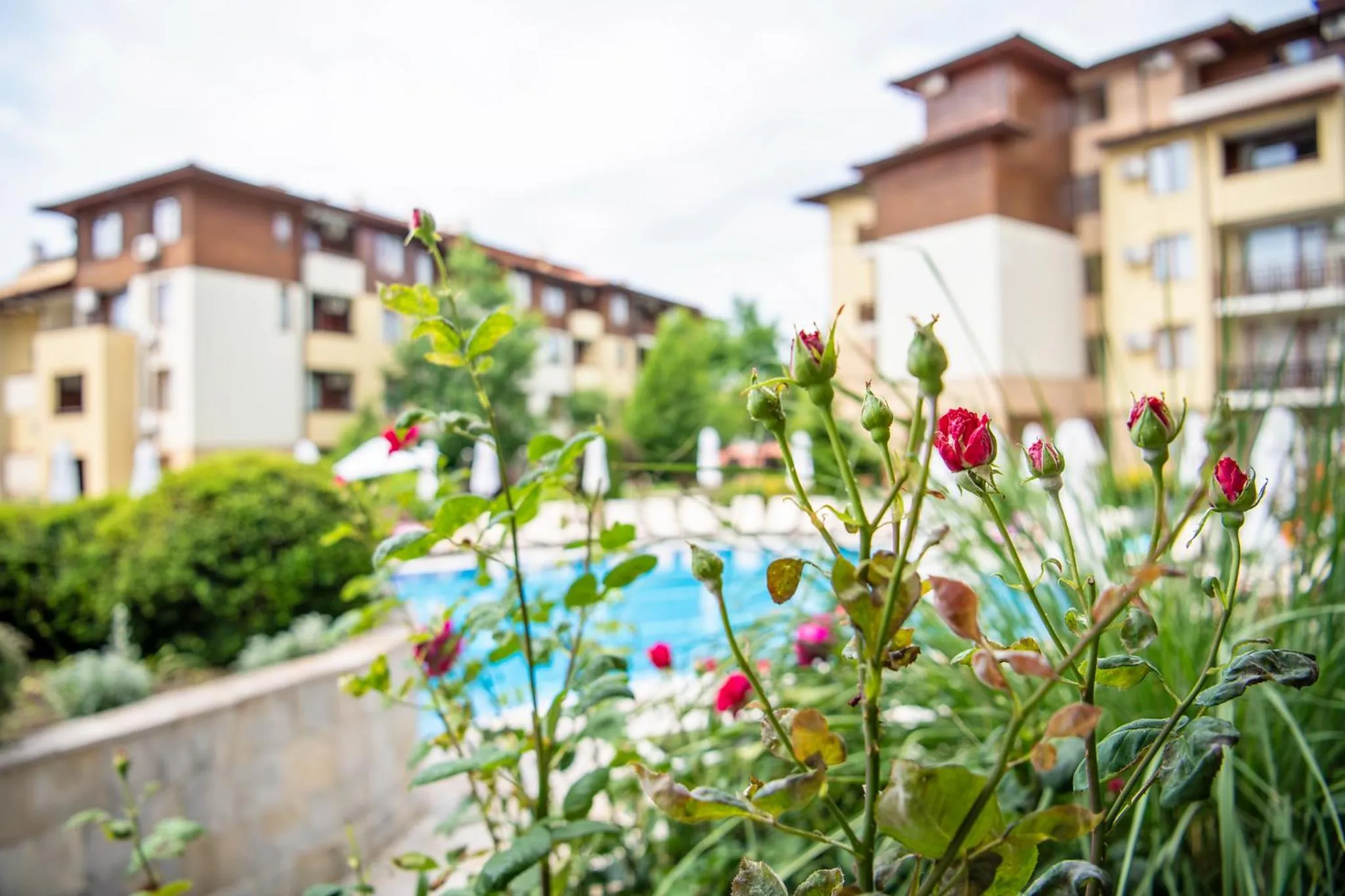 Garden in Garden of Eden Complex