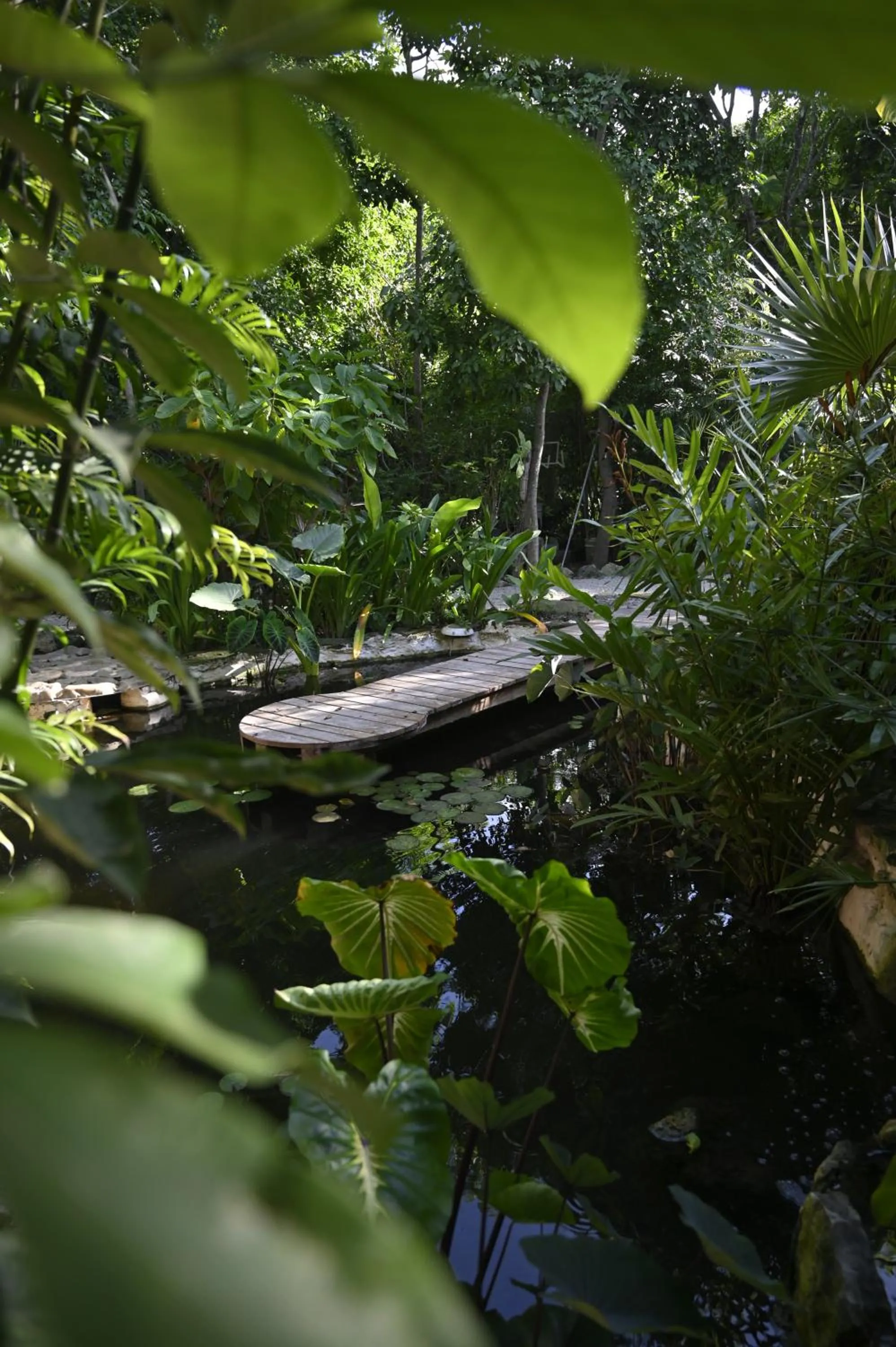 Garden in Huaya Camp
