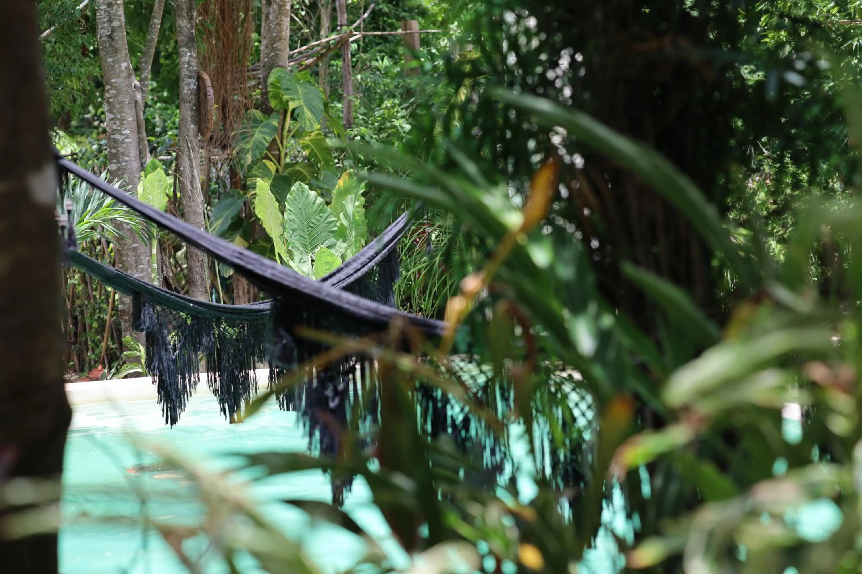 Garden in Huaya Camp