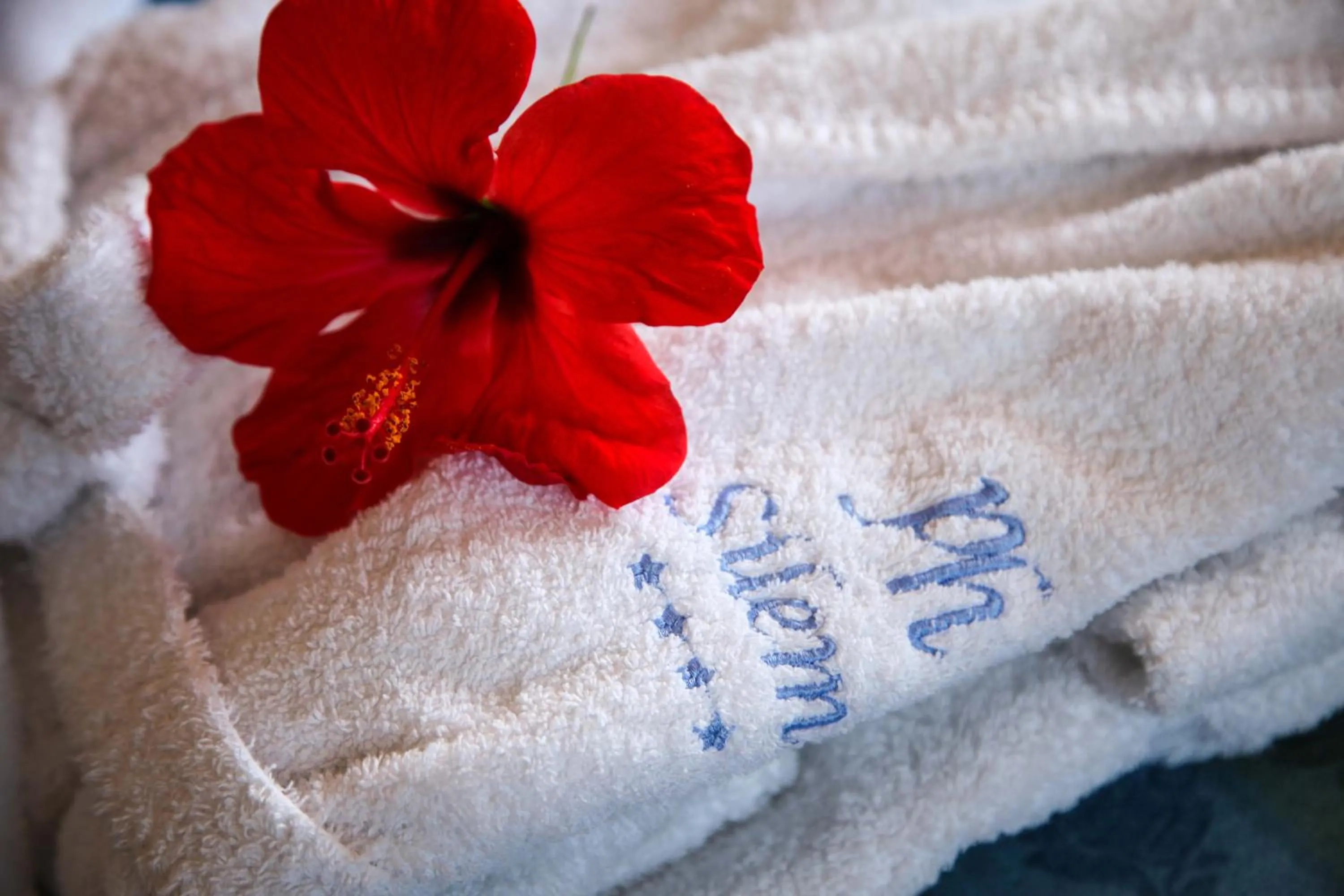 Decorative detail in Park Hotel Silemi