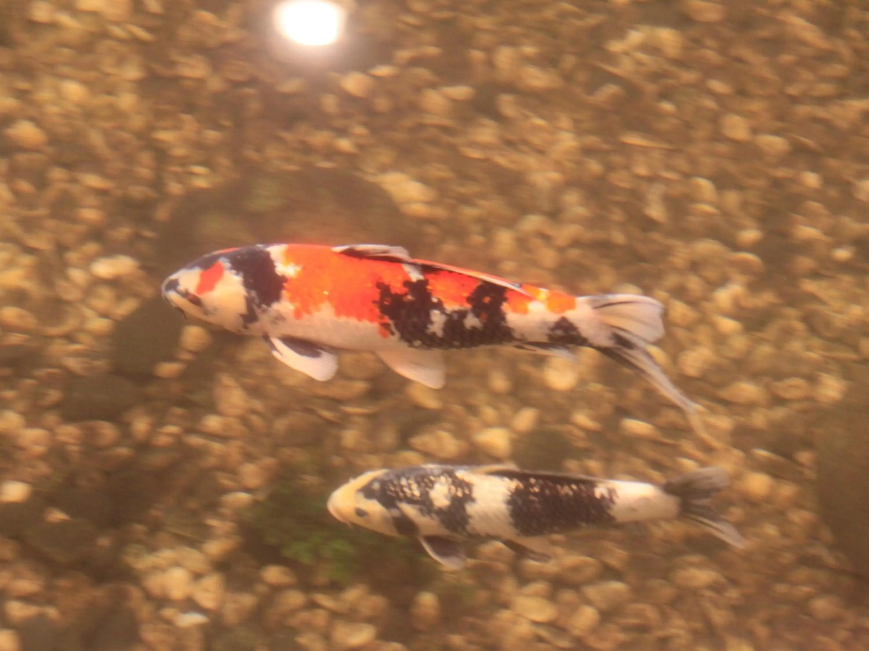 Yamashiro Onsen Miyabi no Yado Kaga Hyakumangoku