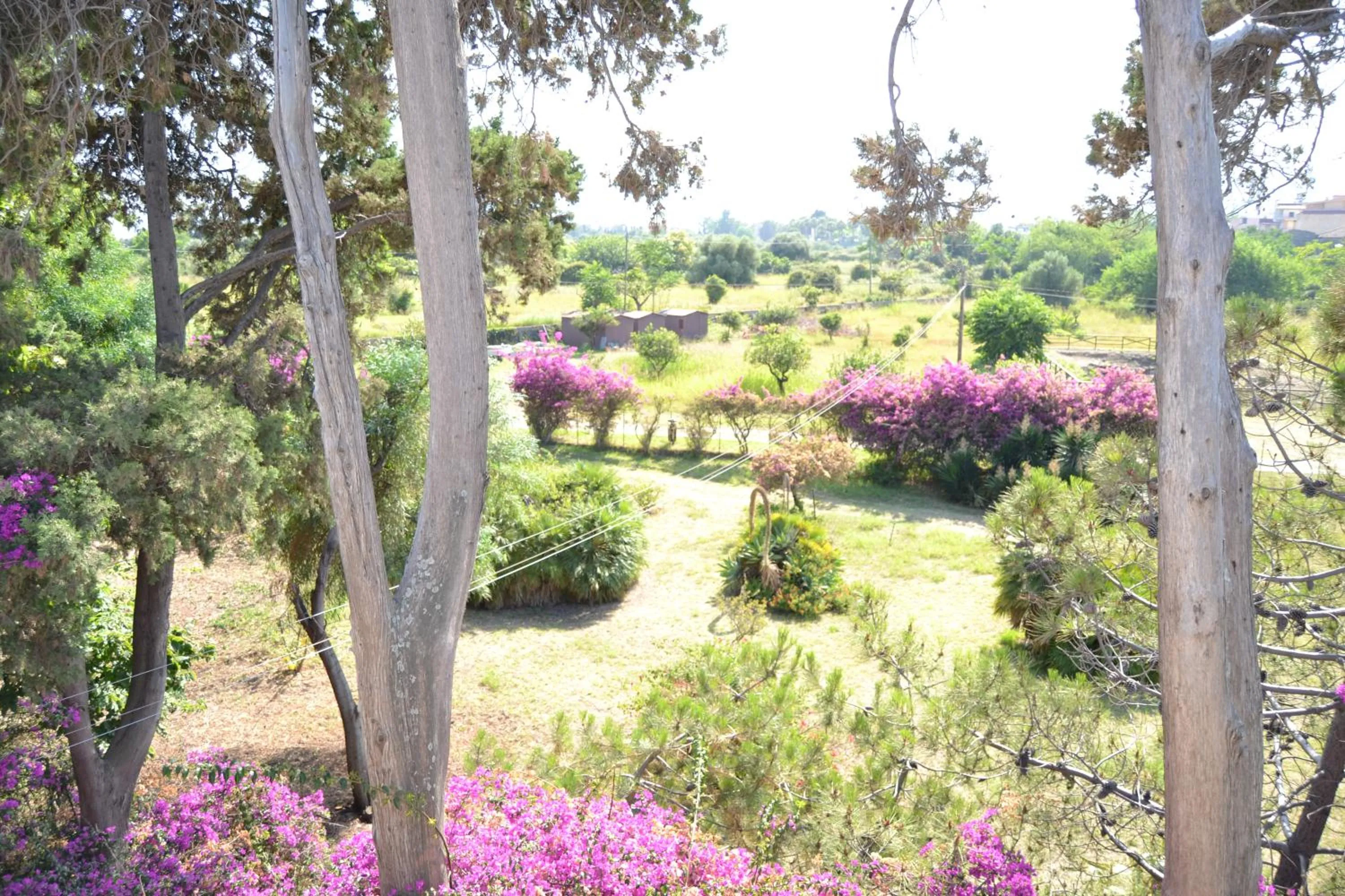 Spring in Hotel Porto Azzurro