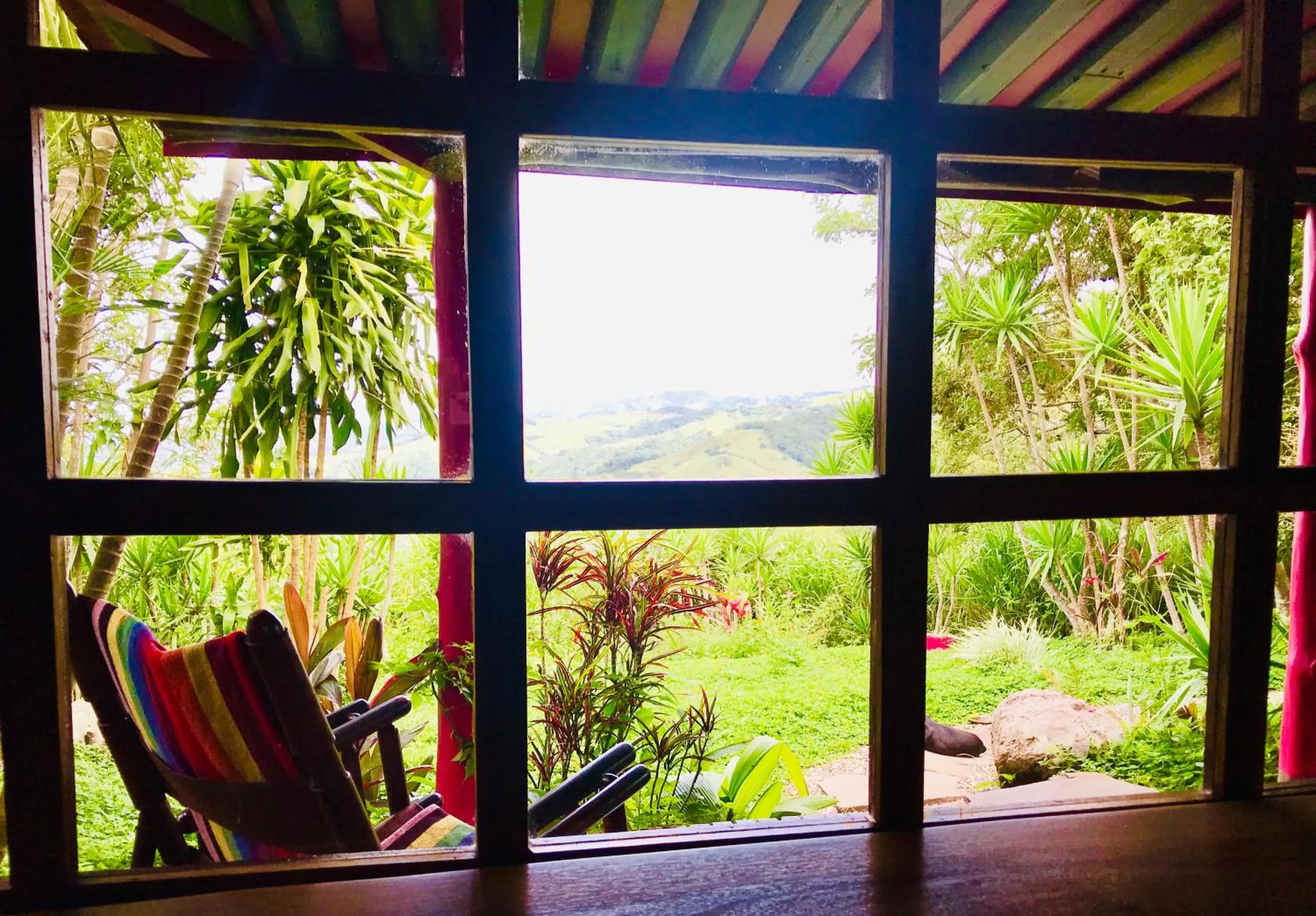 Garden view in El Sol Monteverde