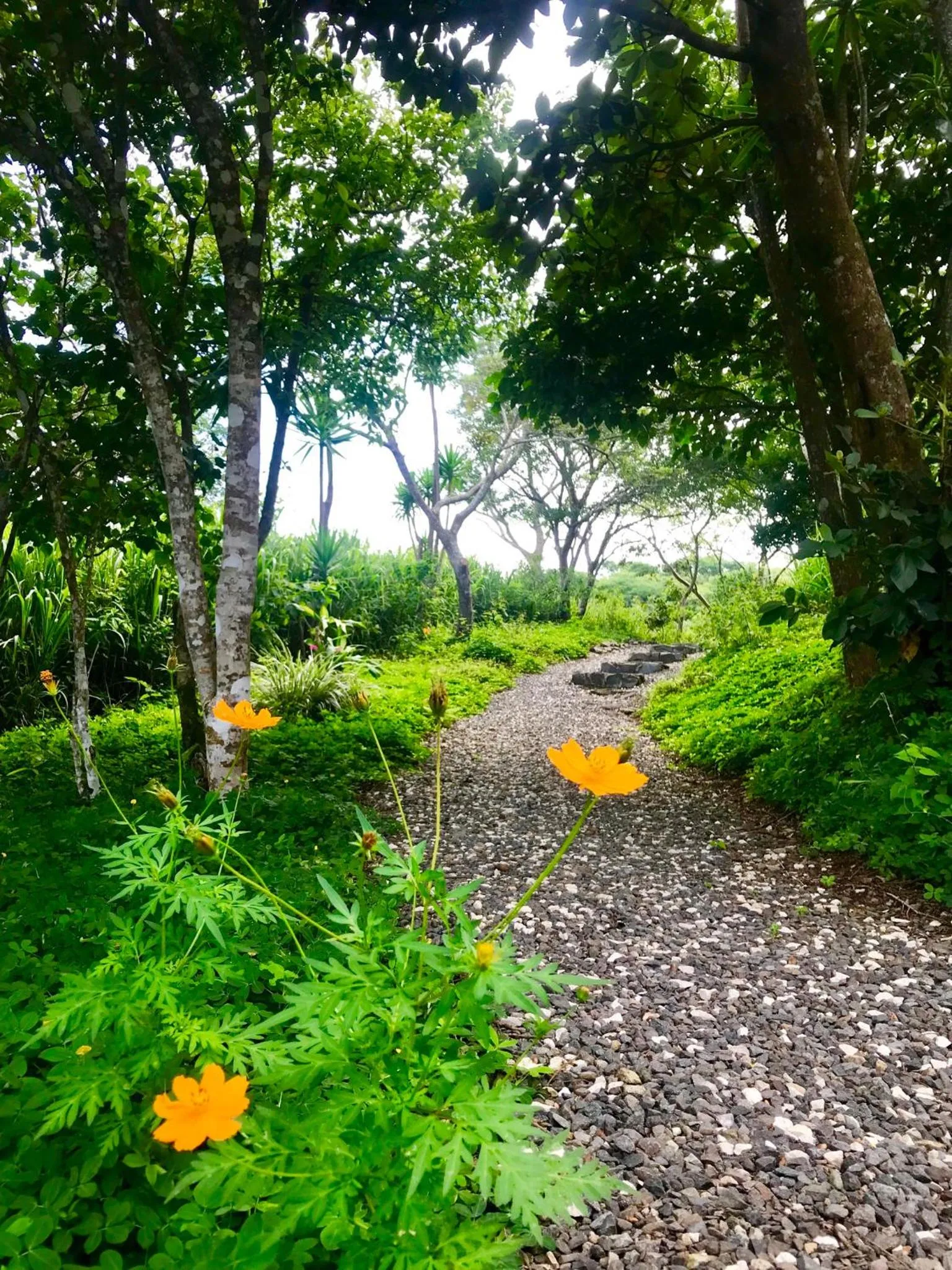 Garden in El Sol Monteverde