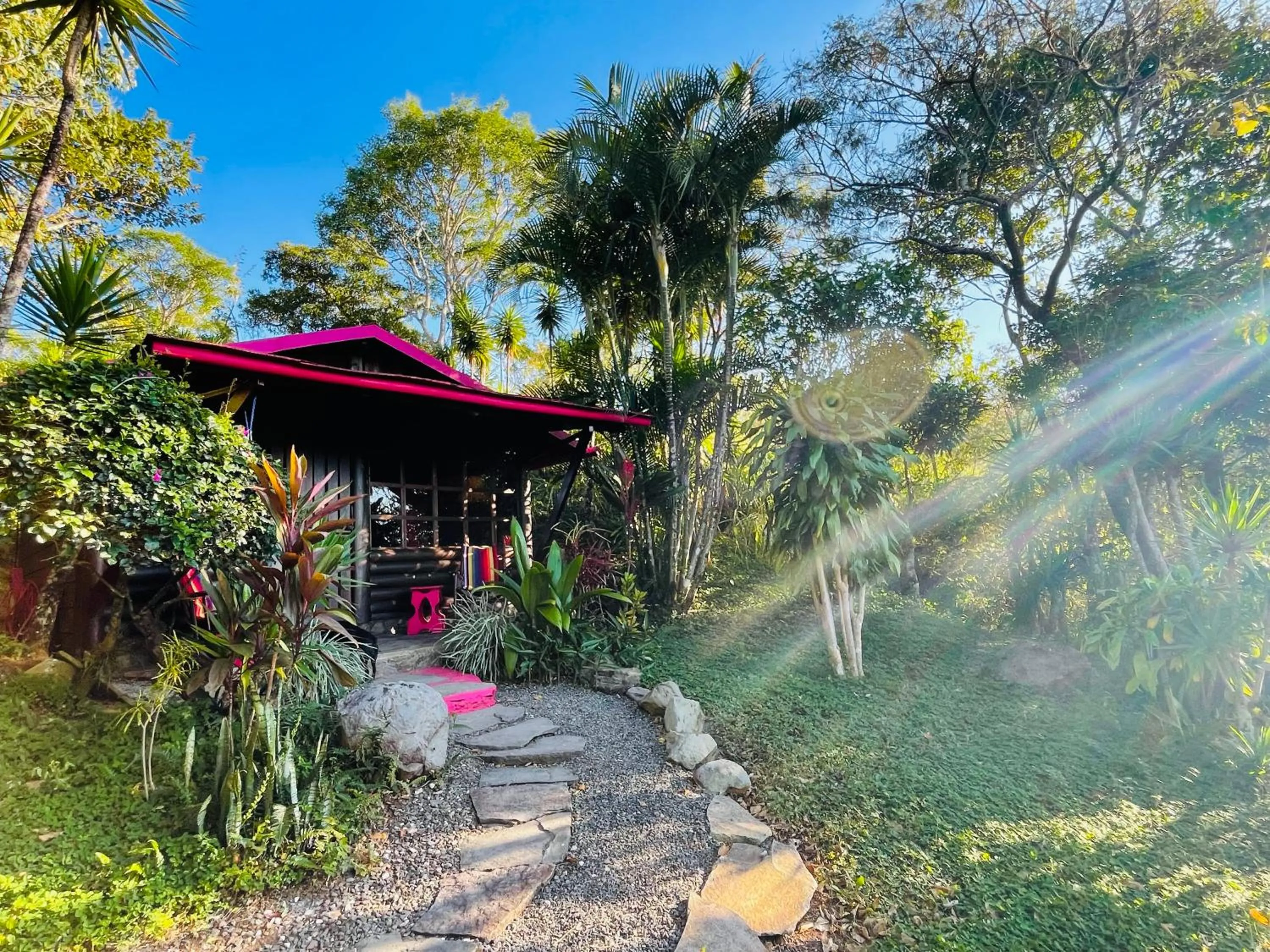 Garden view in El Sol Monteverde