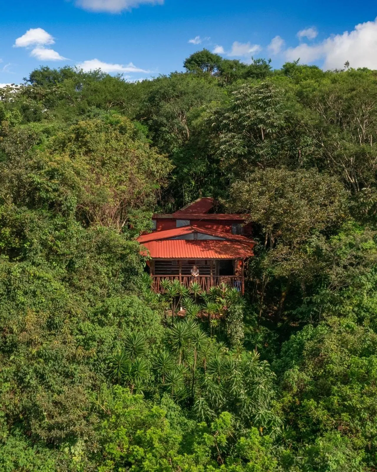 Natural landscape in El Sol Monteverde