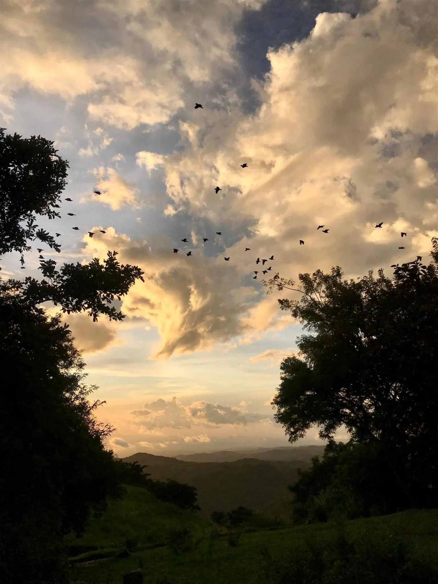 Sunset in El Sol Monteverde