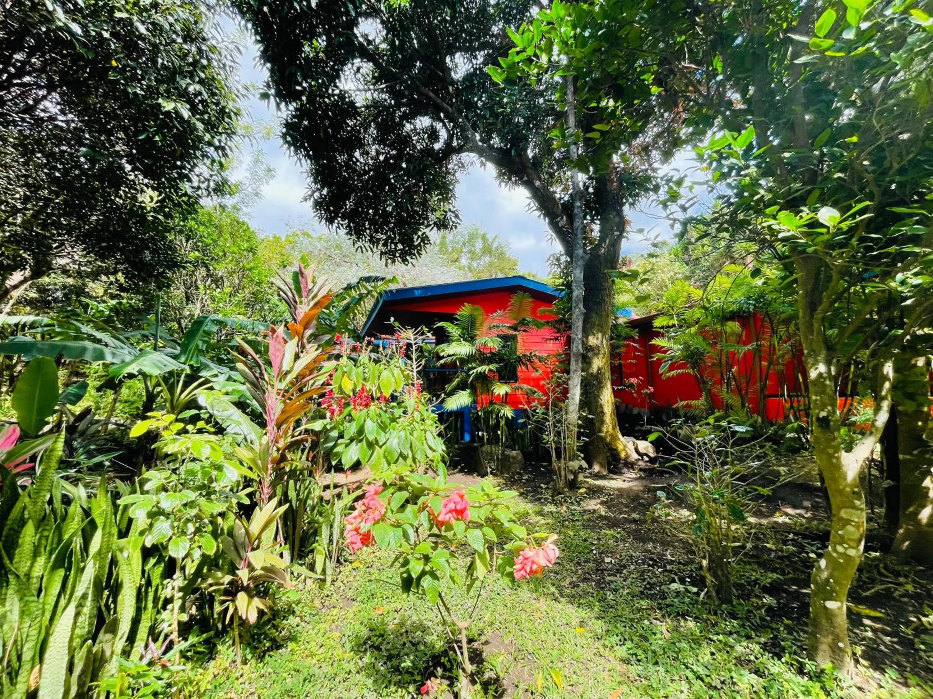 Garden in El Sol Monteverde