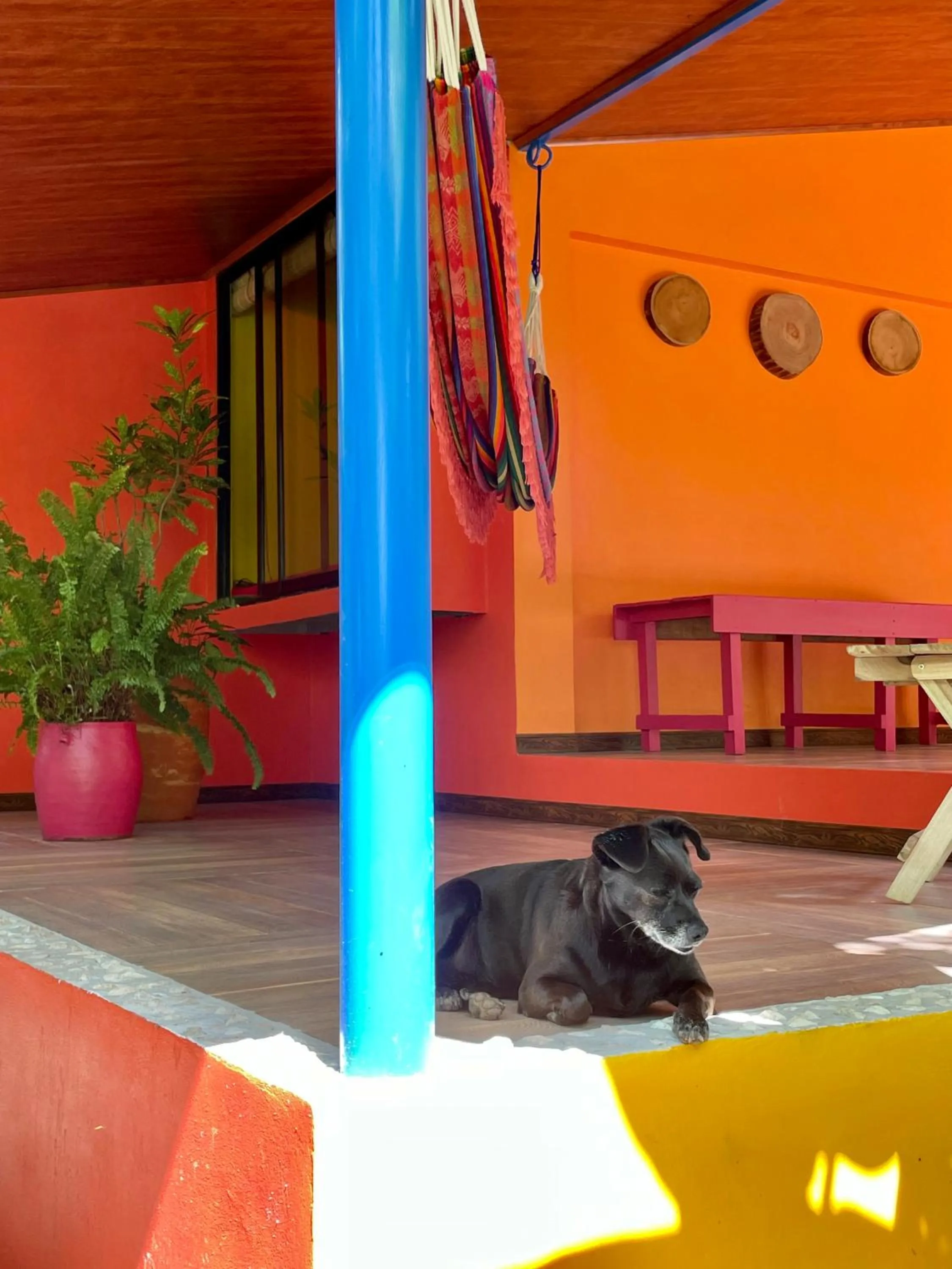 Balcony/Terrace in El Sol Monteverde
