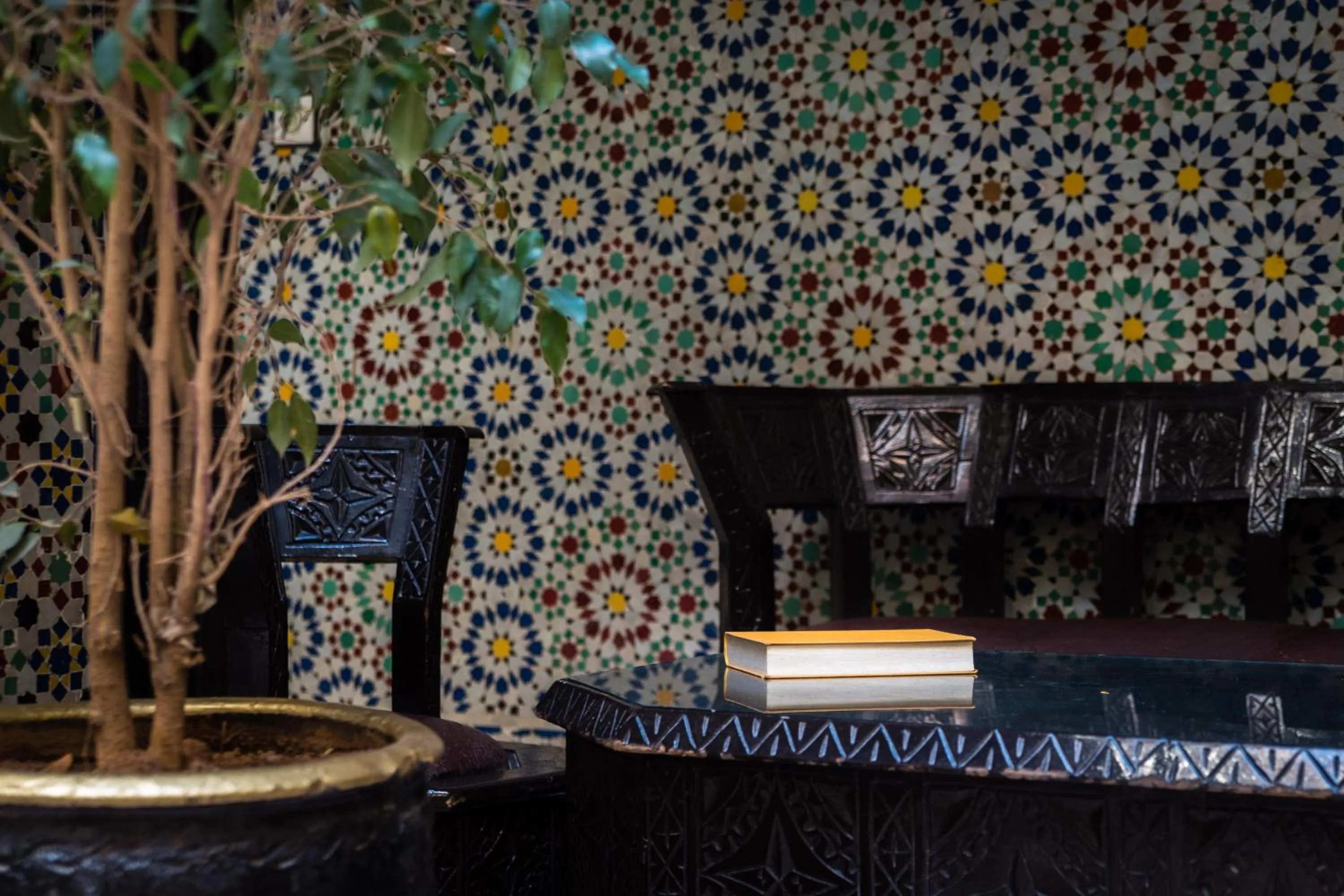 Area and facilities in Riad Omar