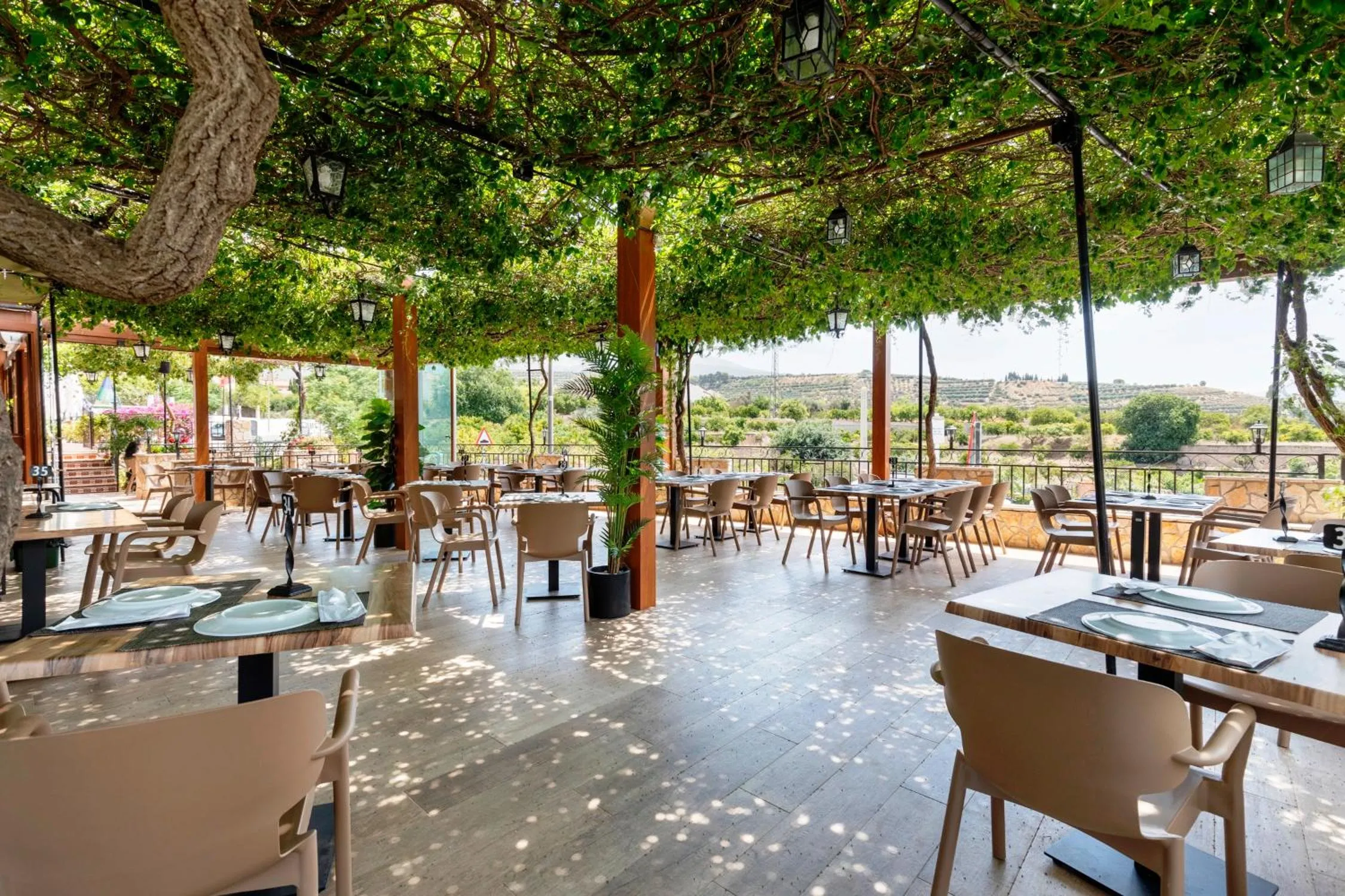 Restaurant/places to eat in Hostal y Apartamento Rural Los Naranjos