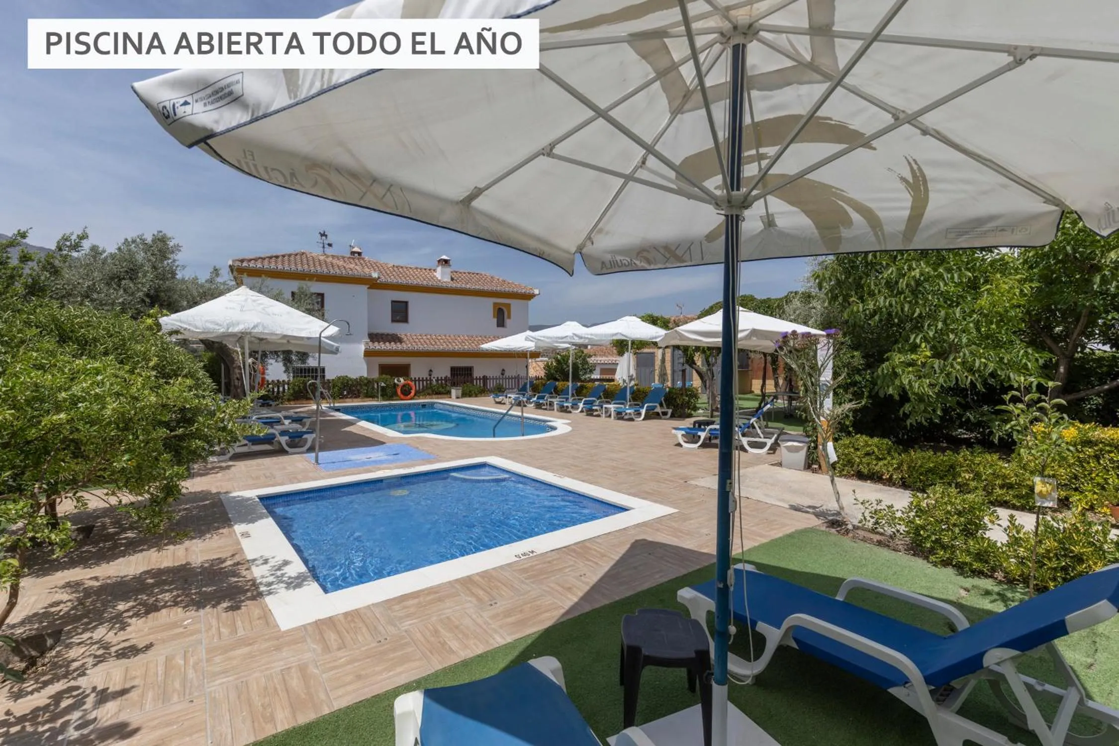 Swimming pool in Hostal y Apartamento Rural Los Naranjos