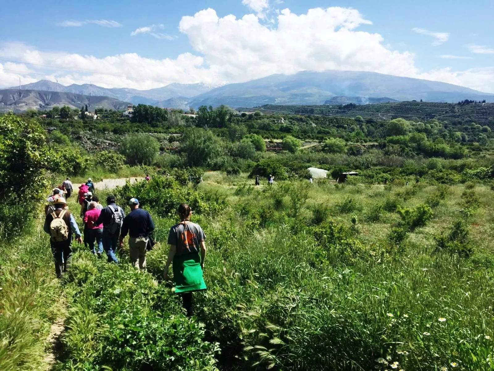 Nearby landmark in Hostal y Apartamento Rural Los Naranjos