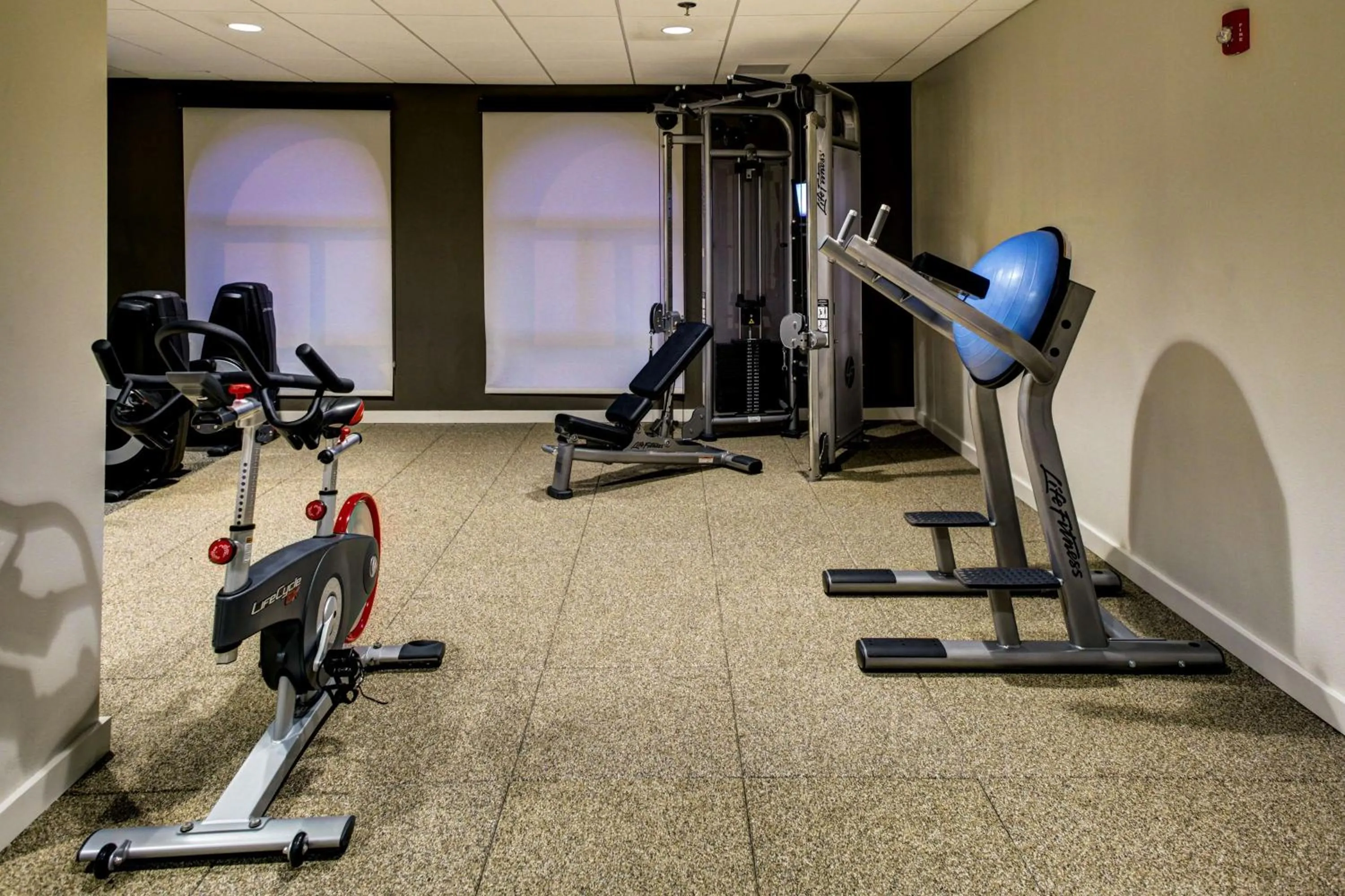 Fitness centre/facilities in Embassy Suites Williamsburg