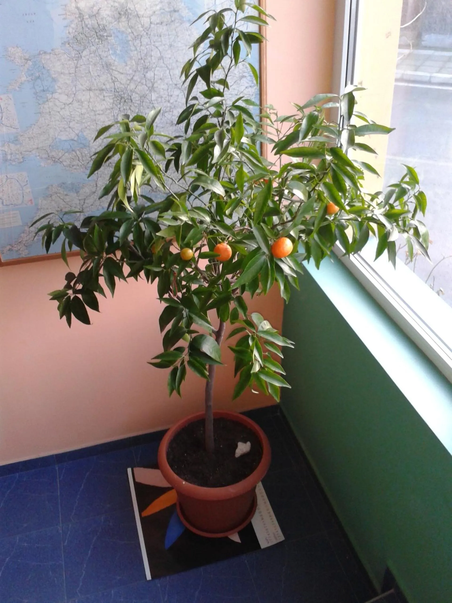 Decorative detail in The Colourful Mansion Hotel