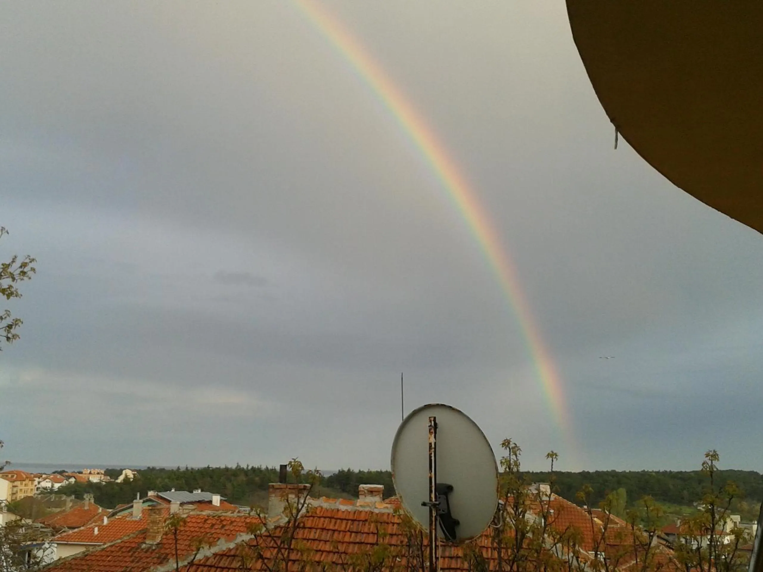 View (from property/room) in The Colourful Mansion Hotel