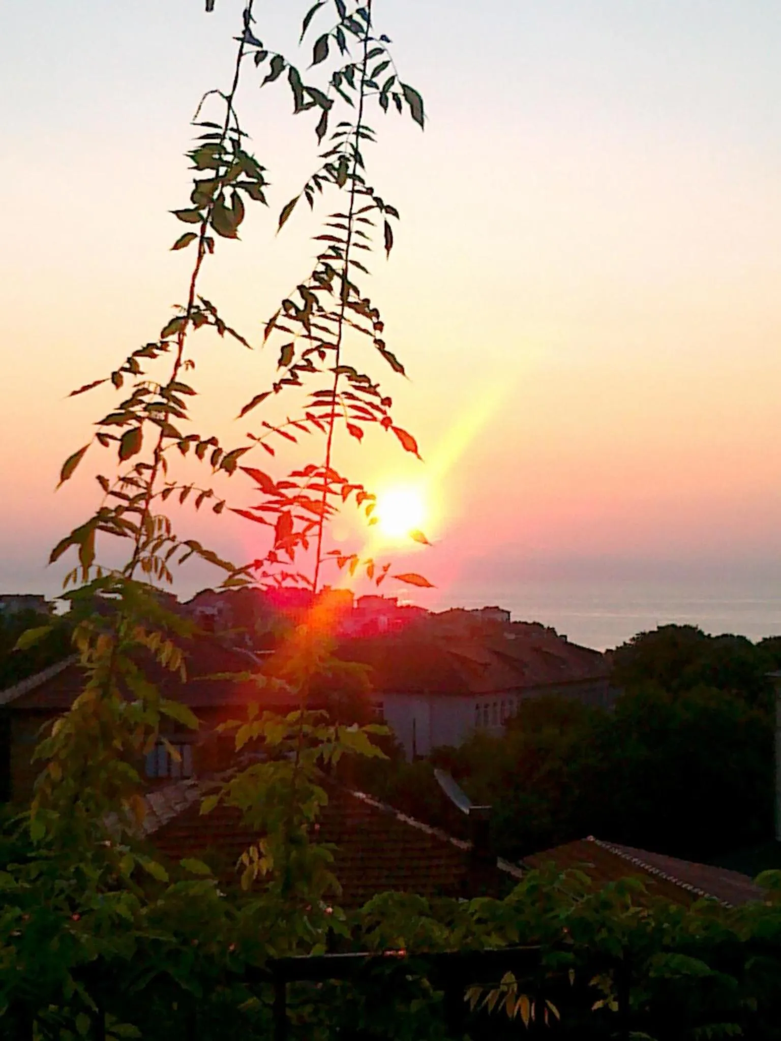 View (from property/room) in The Colourful Mansion Hotel