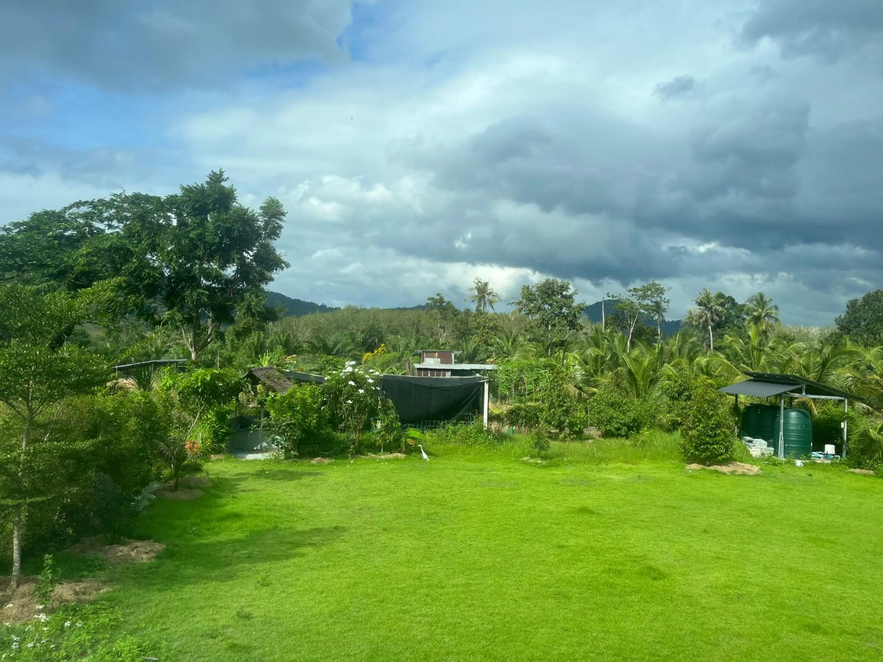 Natural landscape in Marigold Aonang Resort