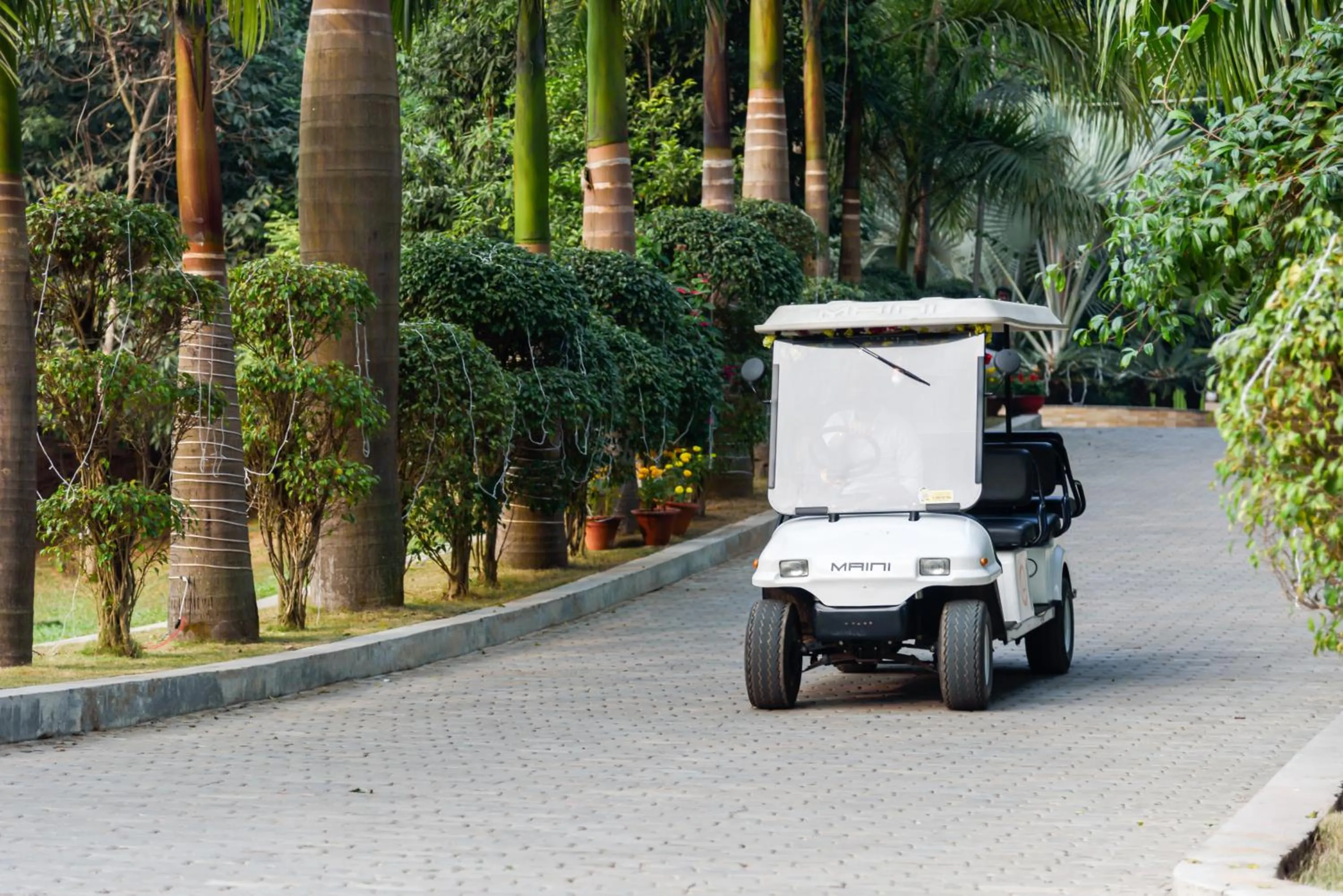 Other in The Greenwood Resort, Guwahati