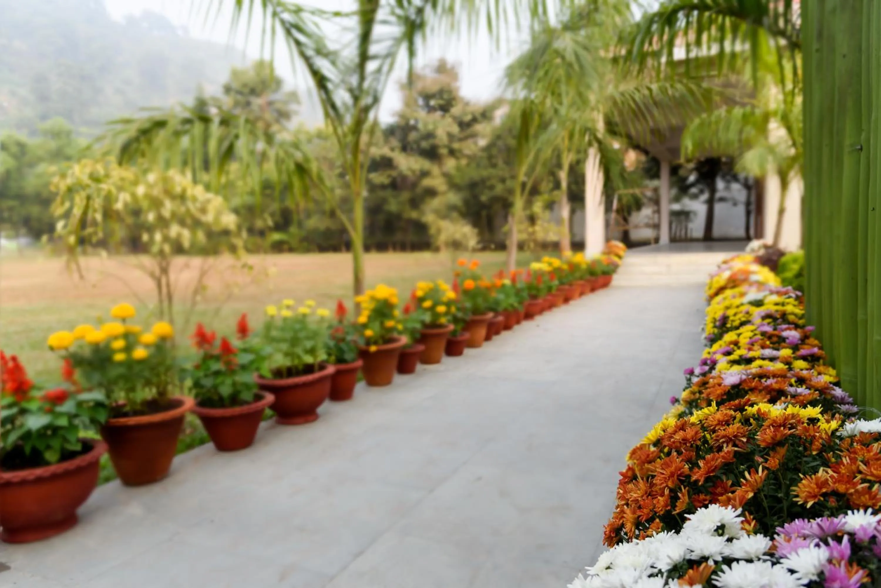 Decorative detail in The Greenwood Resort, Guwahati