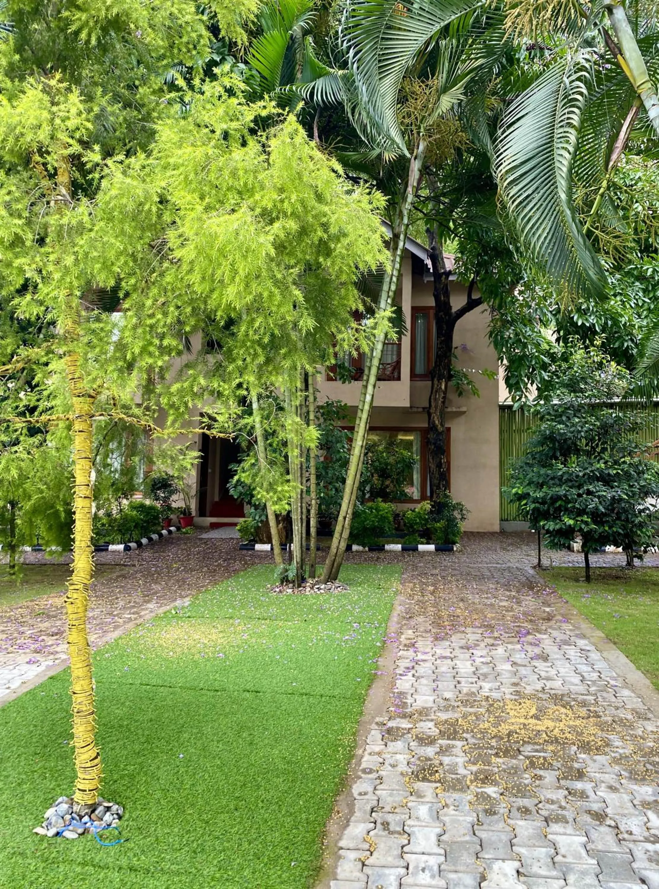 Garden view in The Greenwood Resort, Guwahati