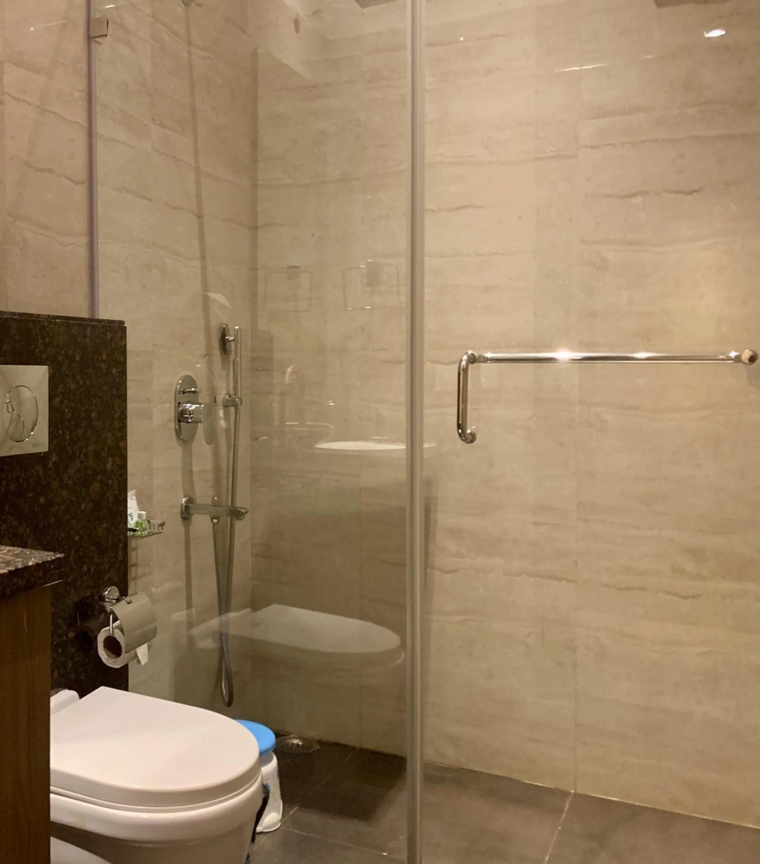 Bathroom in The Greenwood Resort, Guwahati