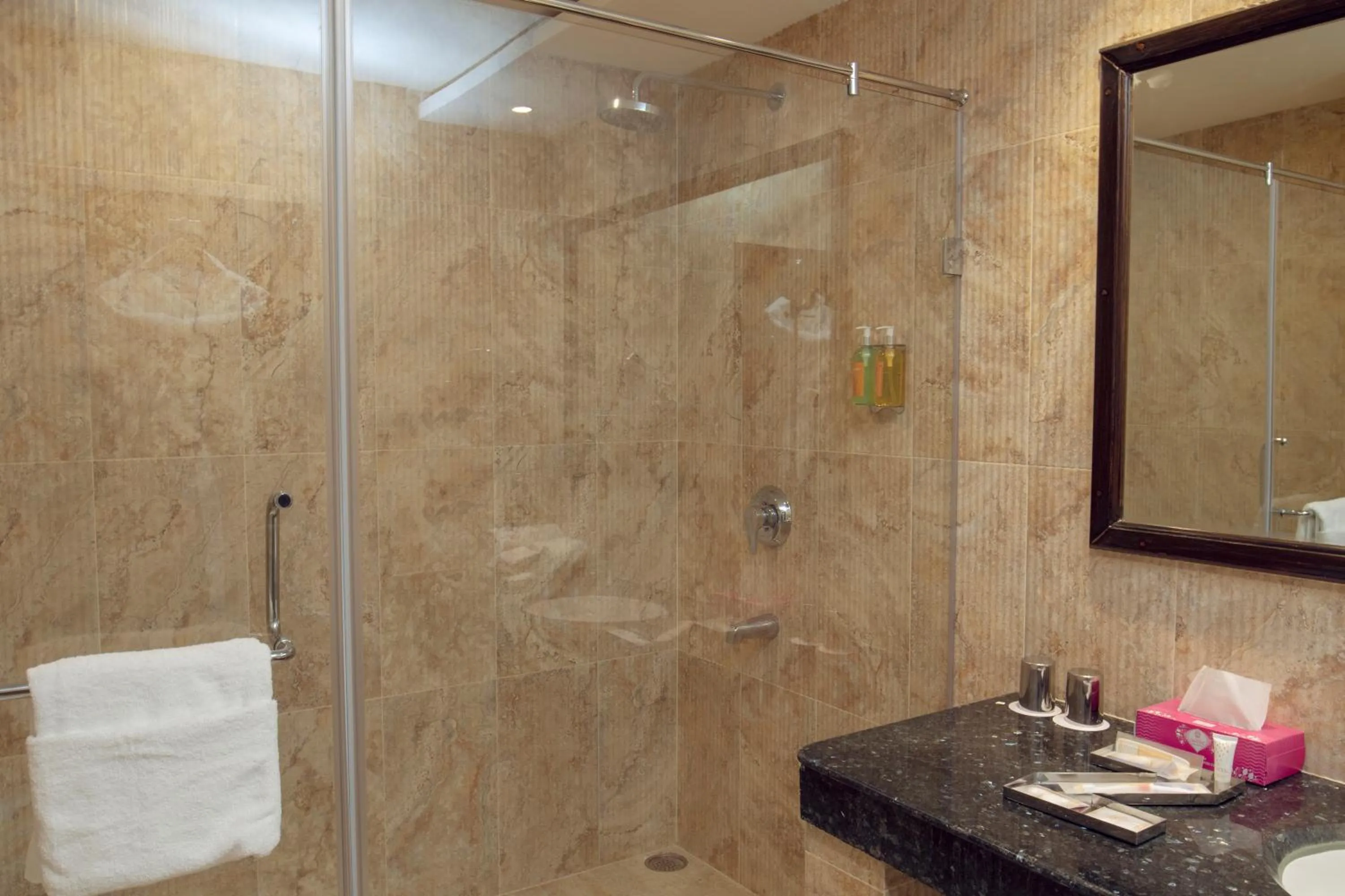 Shower in Zone by The Park, Jammu