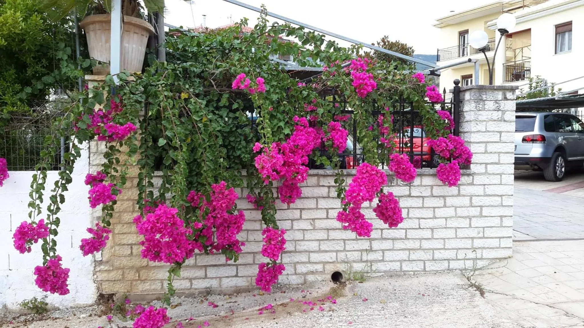 Property building in Delphin Rooms Sivota