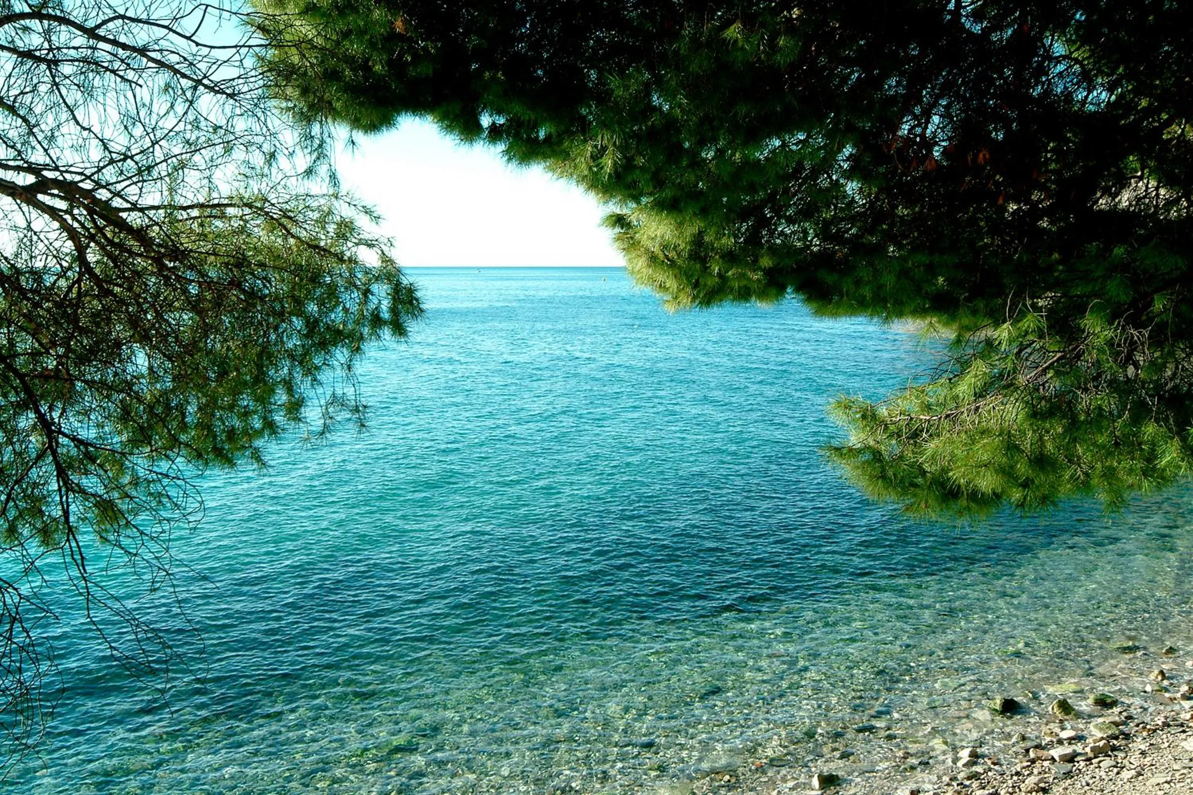 Beach in Hotel Laguna Deluxe - Terme Krka